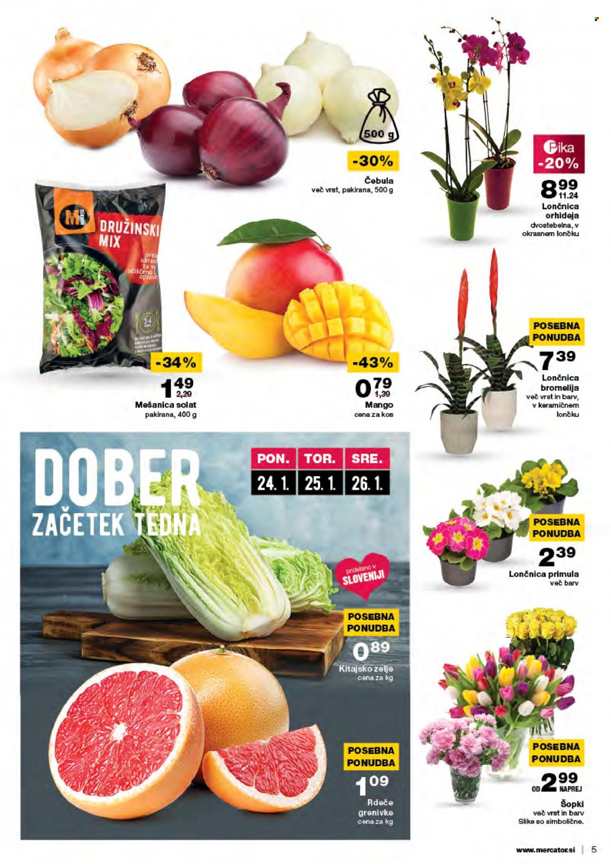 Mercator katalog - 20.1.2022 - 26.1.2022. Stran 5