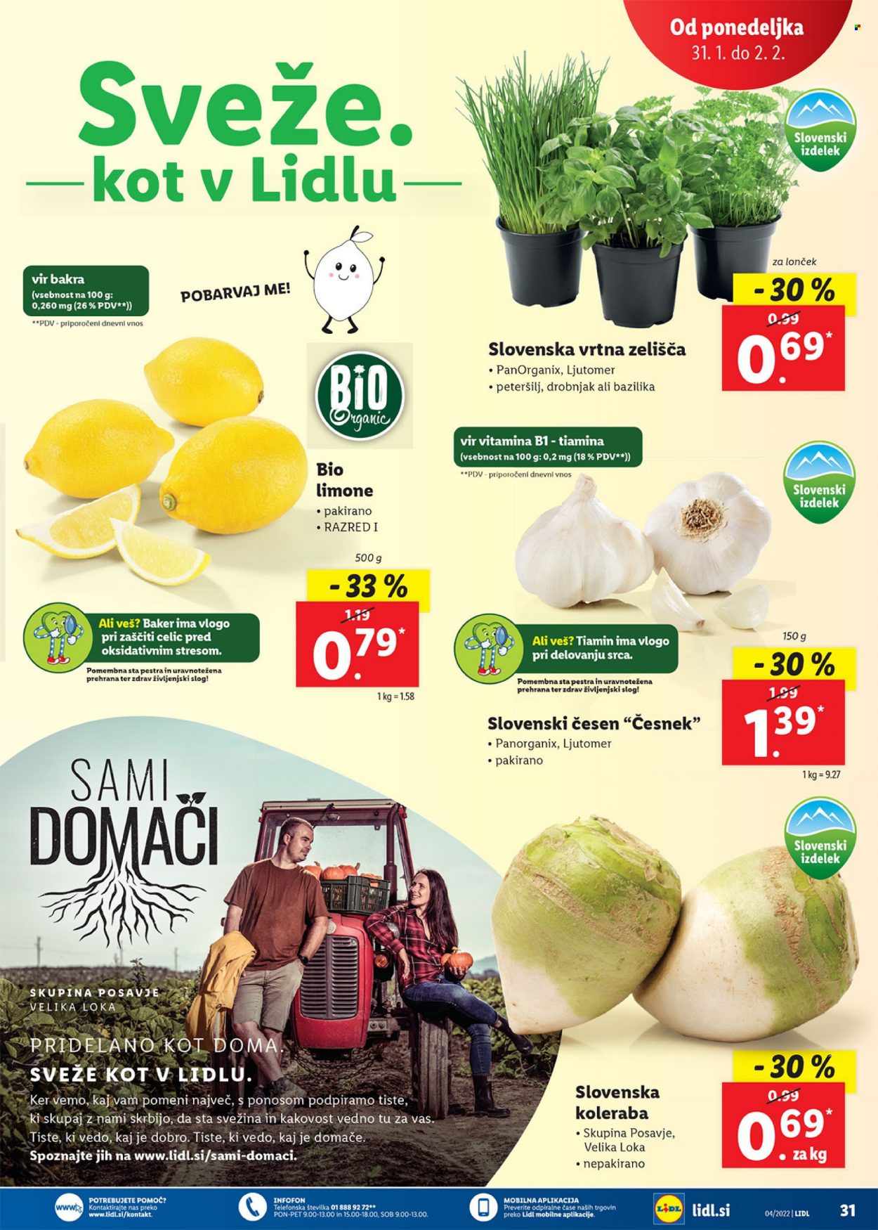 Lidl katalog - 27.1.2022 - 6.2.2022. Stran 31