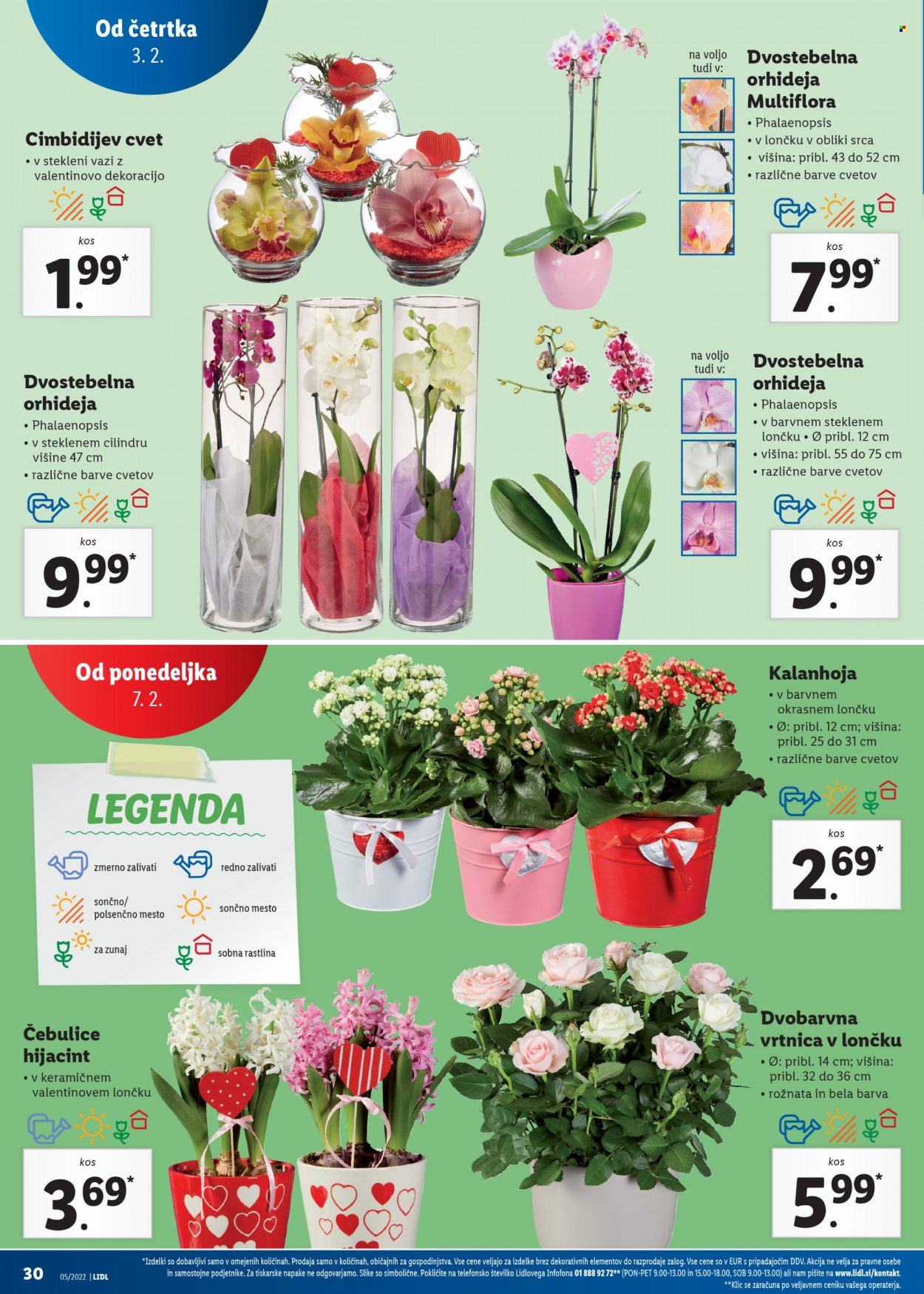 Lidl katalog - 3.2.2022 - 13.2.2022. Stran 30