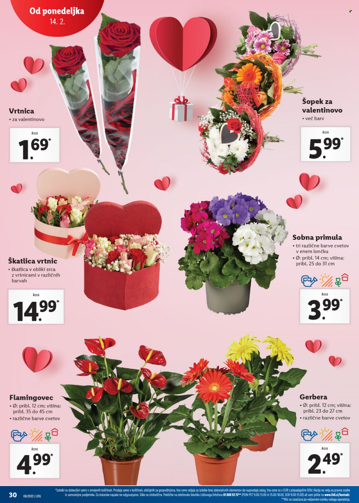 Lidl katalog - 10.2.2022 - 20.2.2022. Stran 32