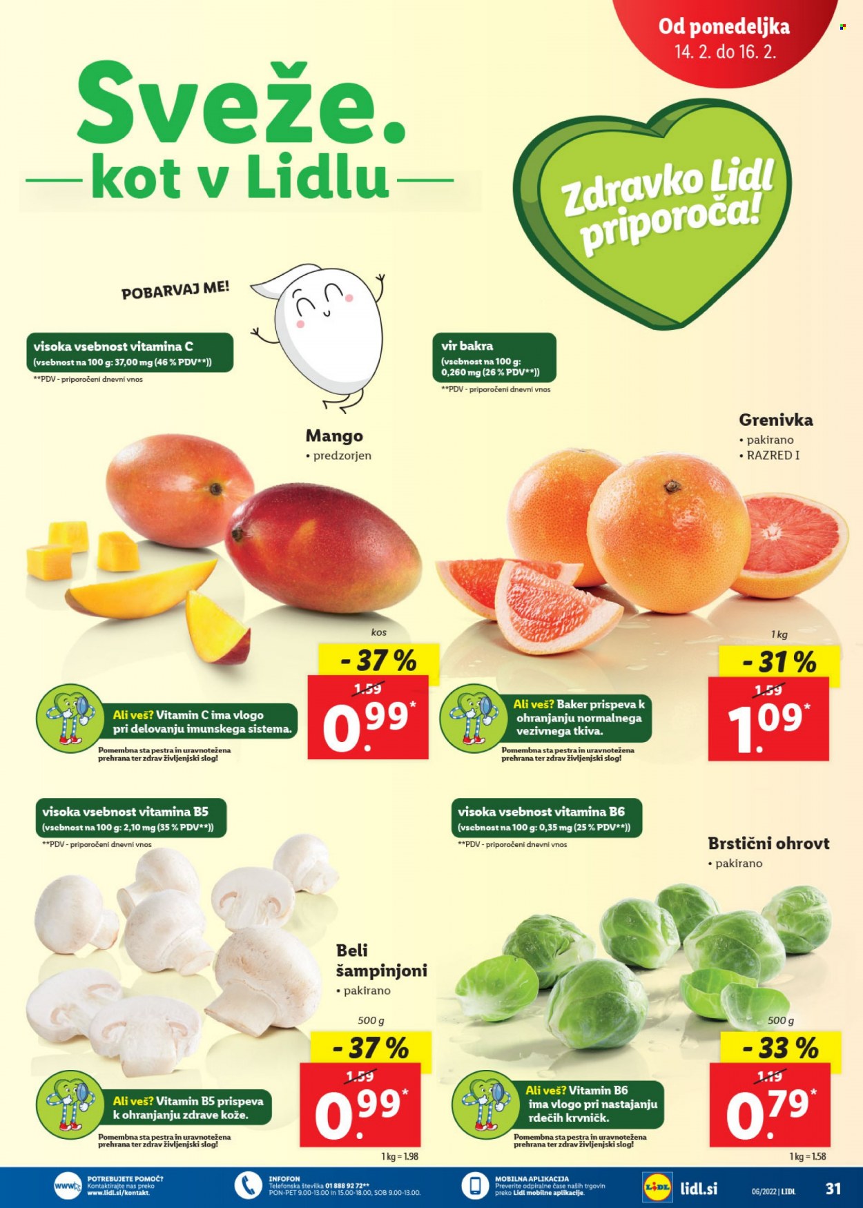 Lidl katalog - 10.2.2022 - 20.2.2022. Stran 33