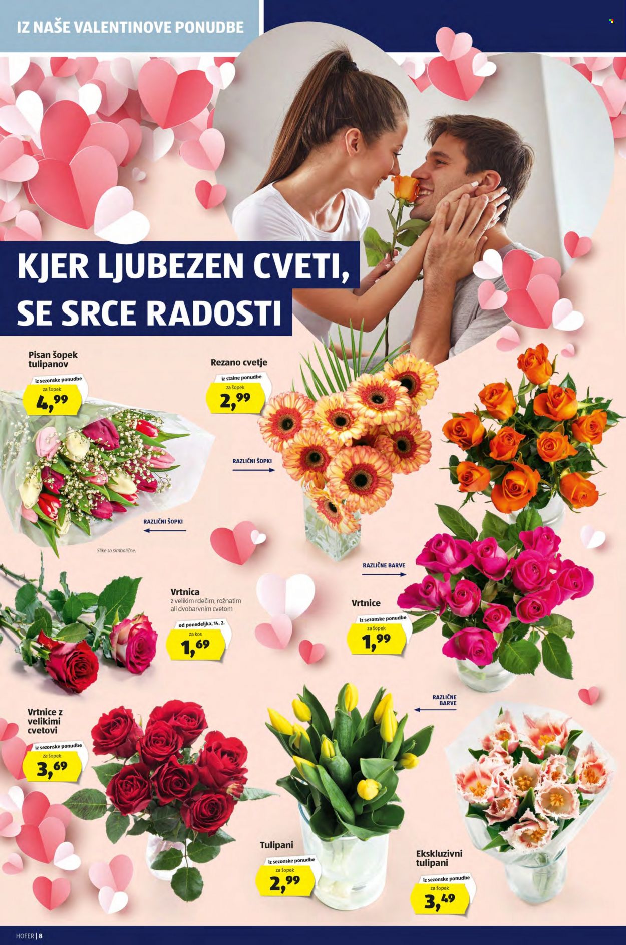 Hofer katalog - 11.2.2022 - 19.2.2022. Stran 8