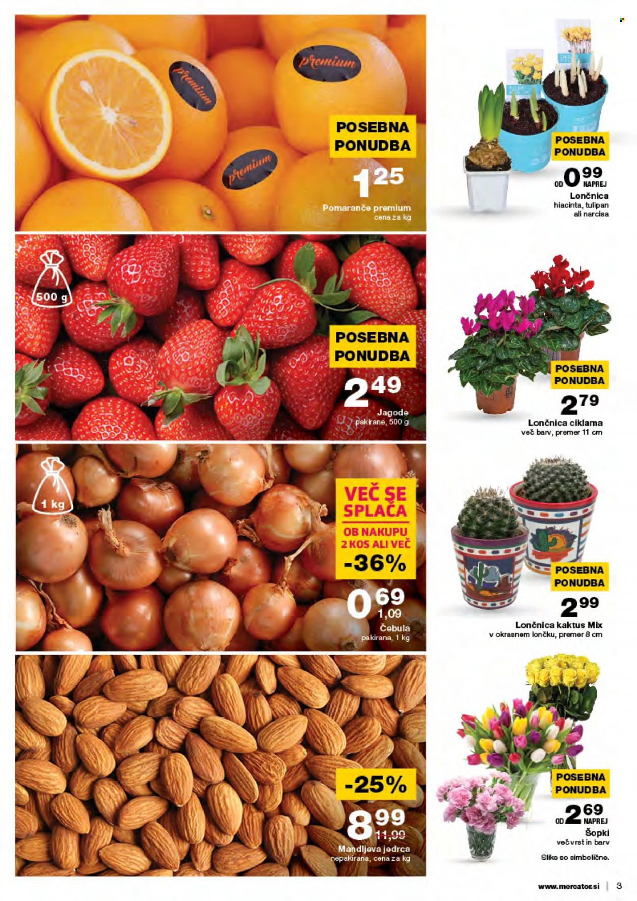 Mercator katalog - 17.2.2022 - 23.2.2022. Stran 3