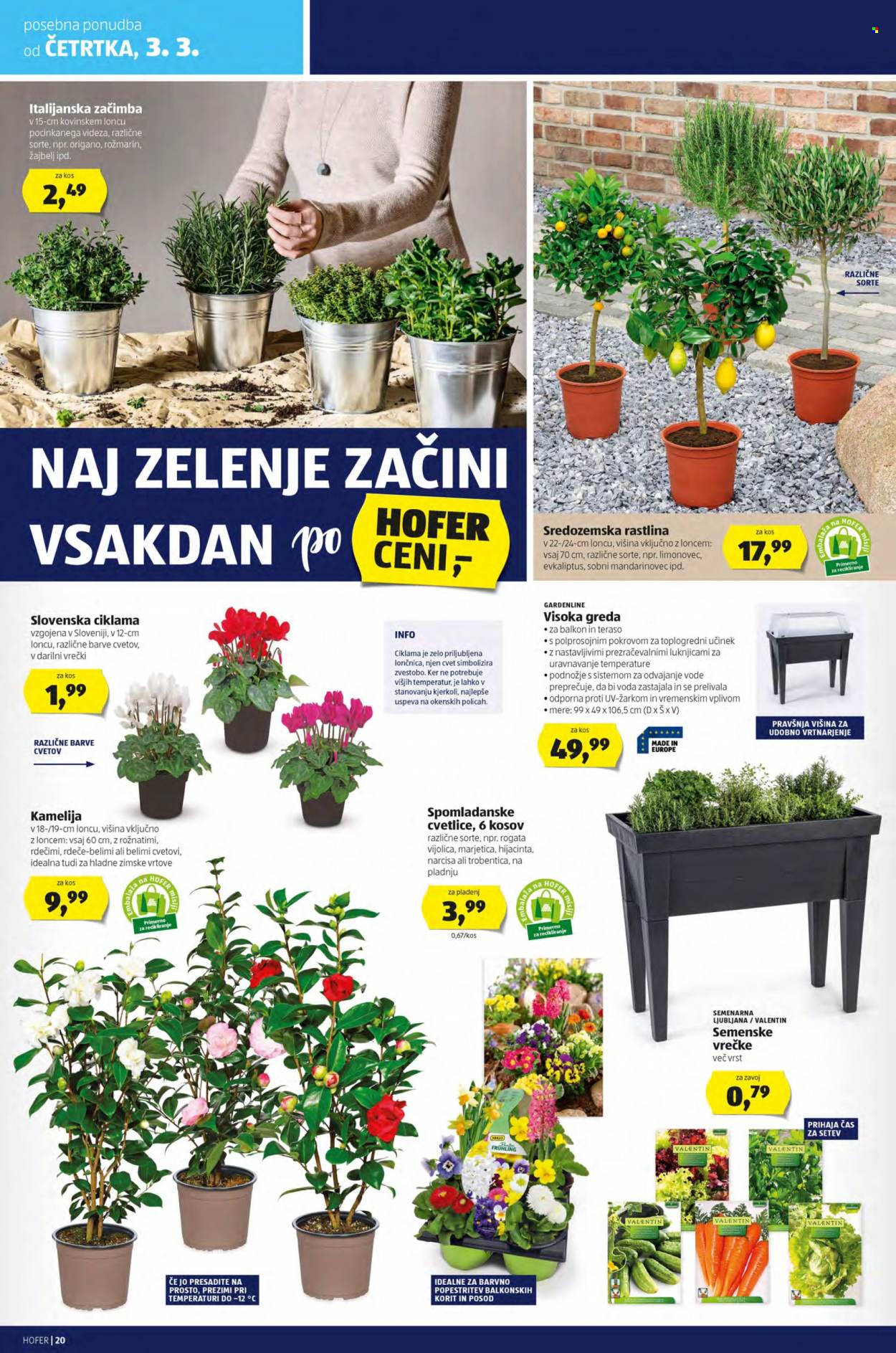 Hofer katalog - 25.2.2022 - 5.3.2022. Stran 20