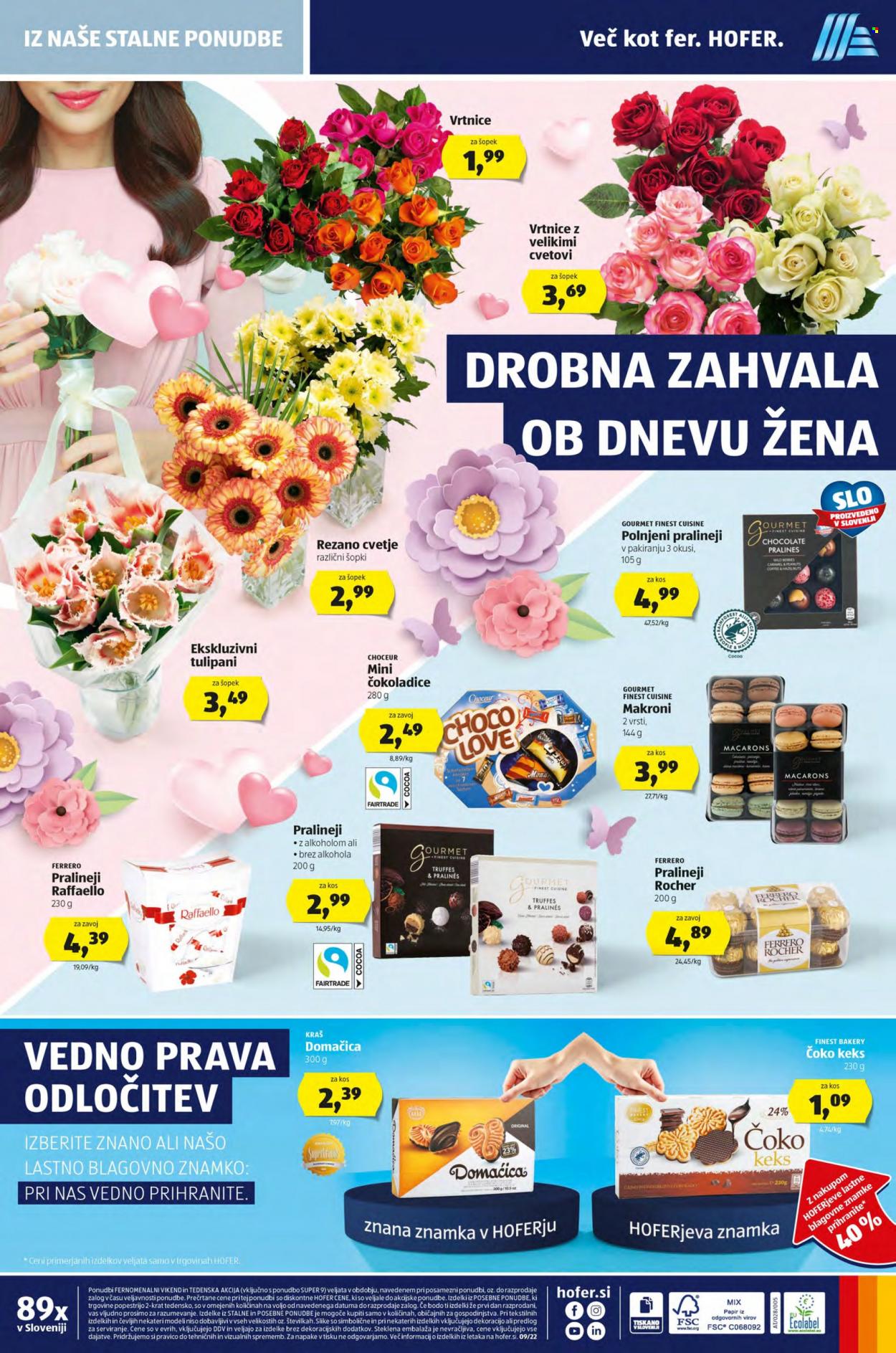 Hofer katalog - 25.2.2022 - 5.3.2022. Stran 24