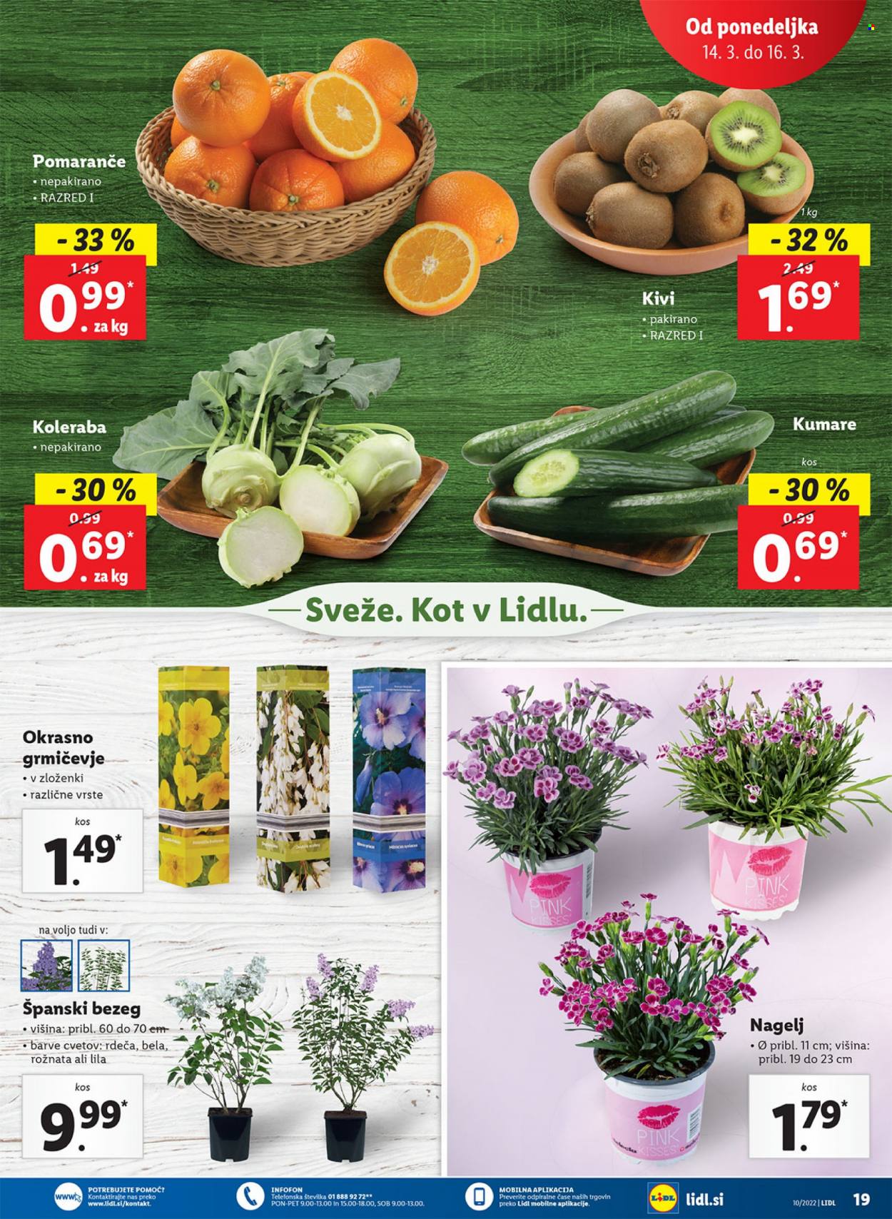 Lidl katalog - 10.3.2022 - 20.3.2022. Stran 27