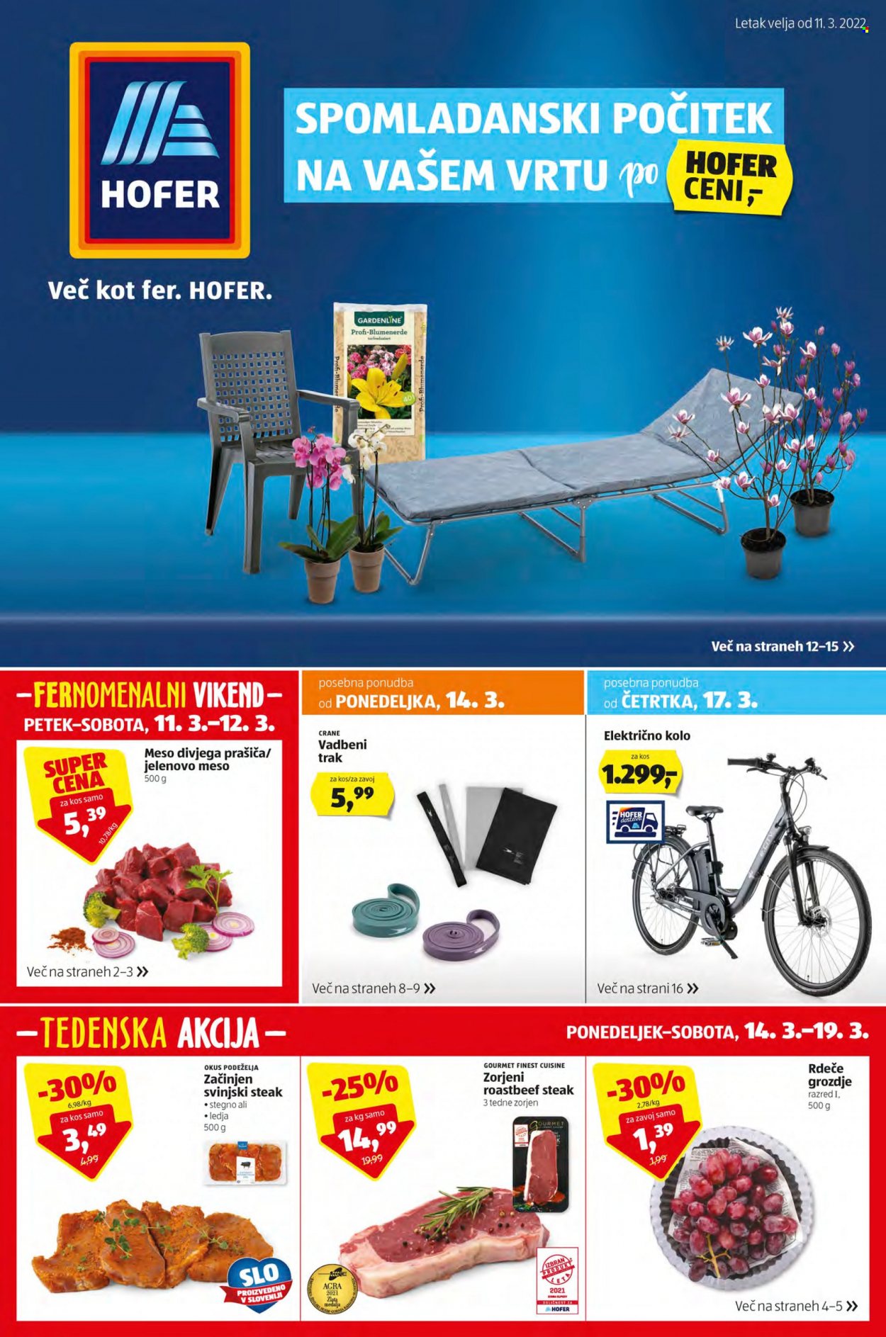 Hofer katalog - 11.3.2022 - 19.3.2022. Stran 1