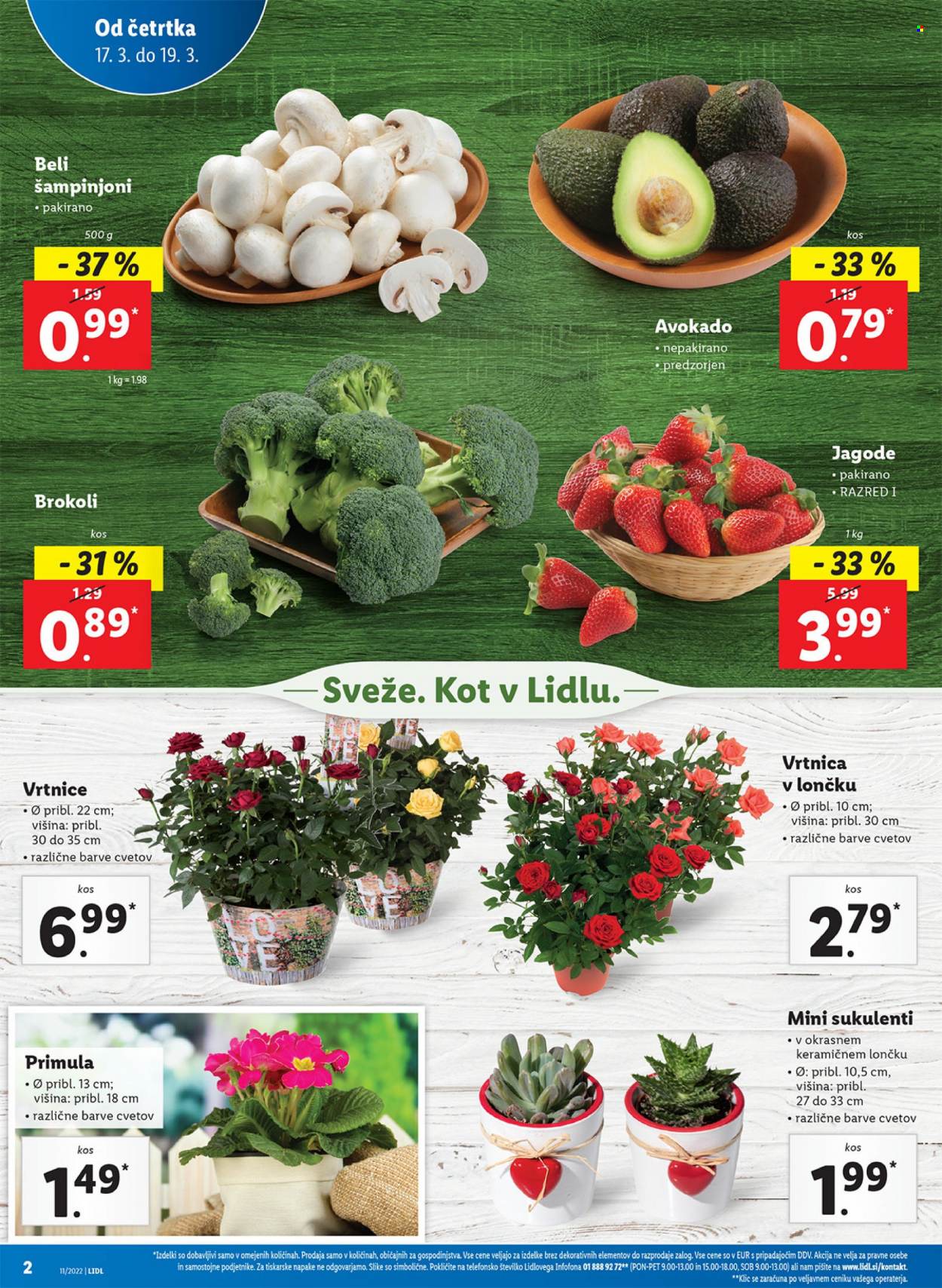 Lidl katalog - 17.3.2022 - 27.3.2022. Stran 2