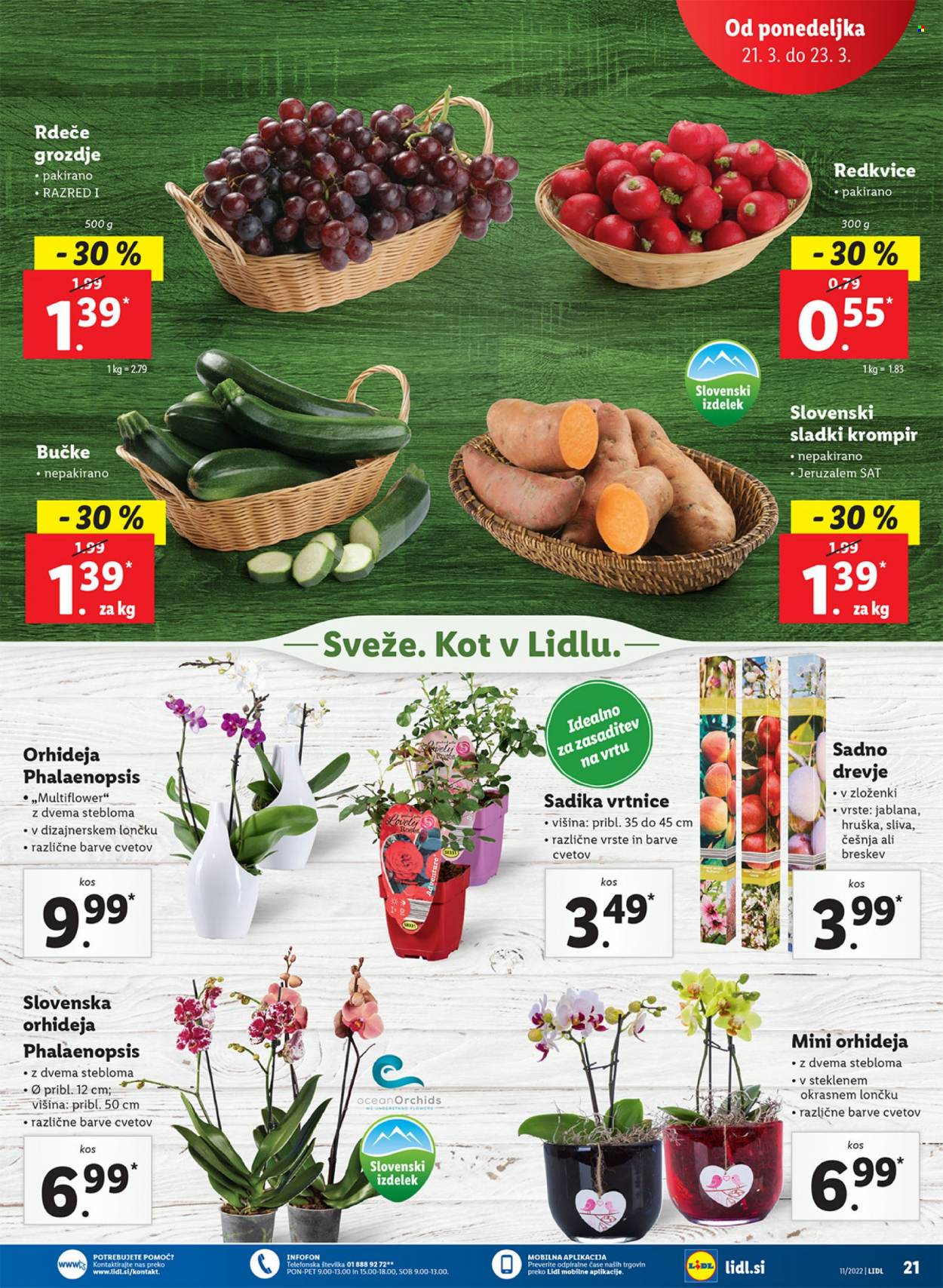 Lidl katalog - 17.3.2022 - 27.3.2022. Stran 25