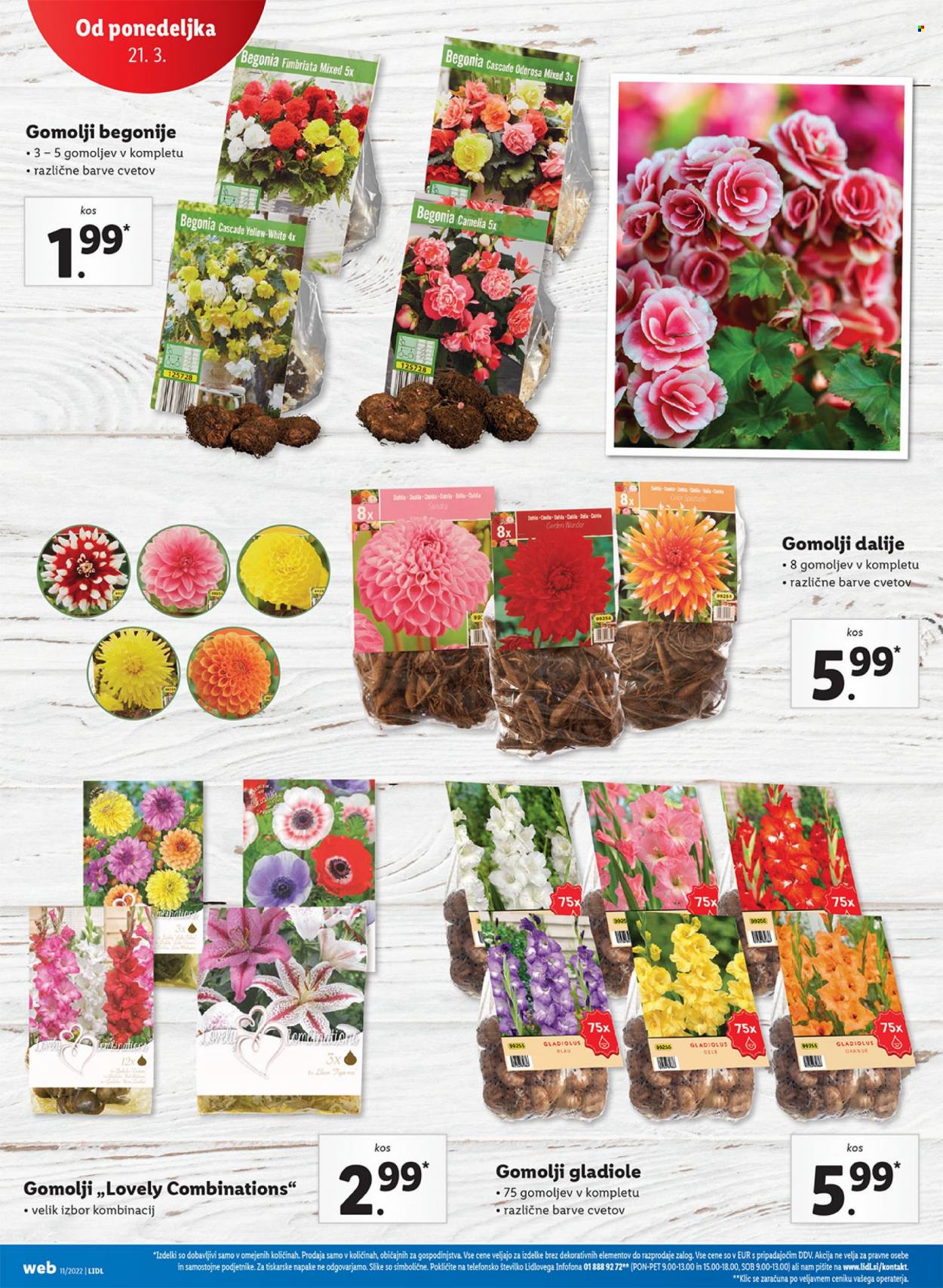 Lidl katalog - 17.3.2022 - 27.3.2022. Stran 32