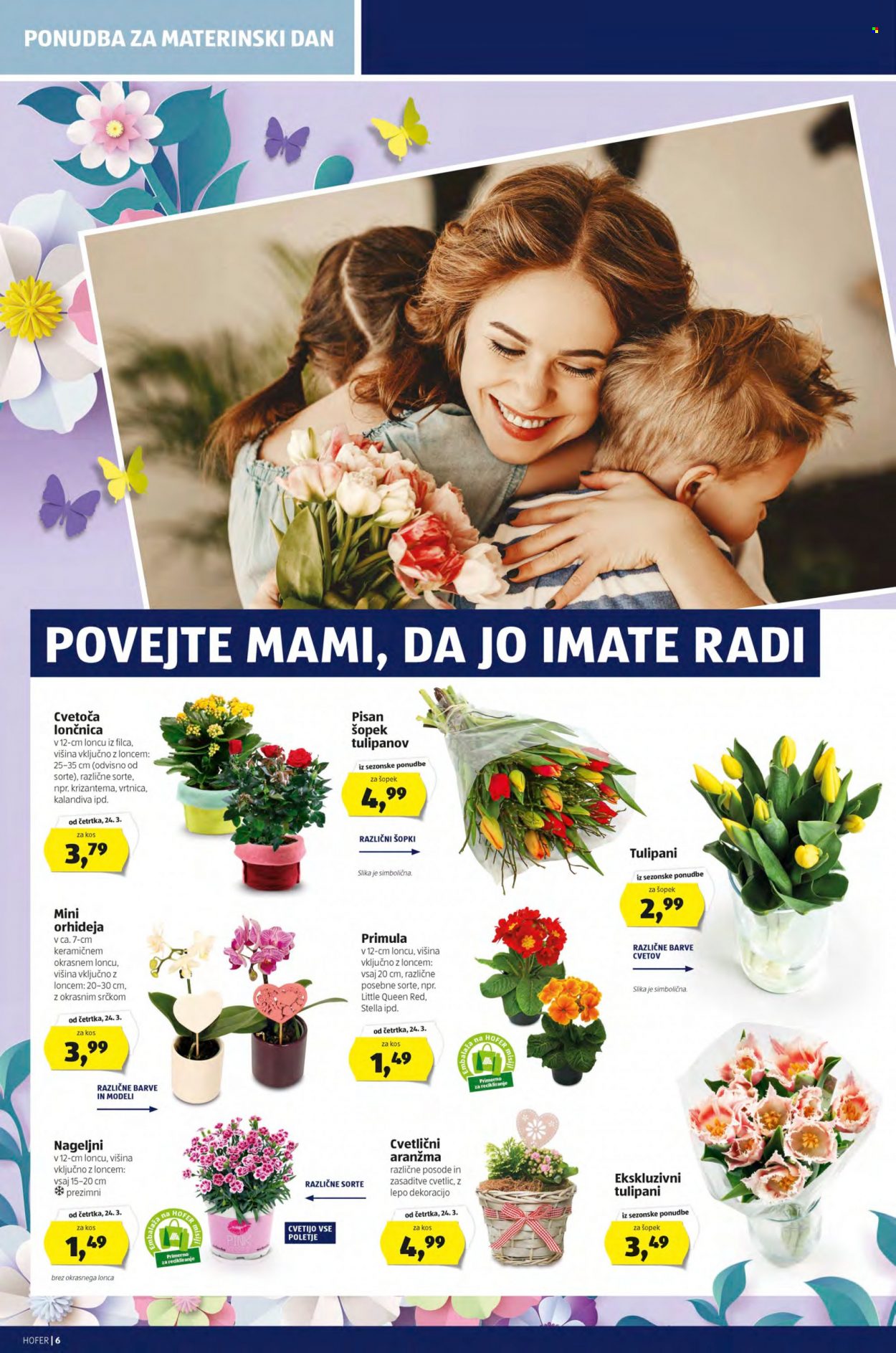 Hofer katalog - 18.3.2022 - 26.3.2022. Stran 6