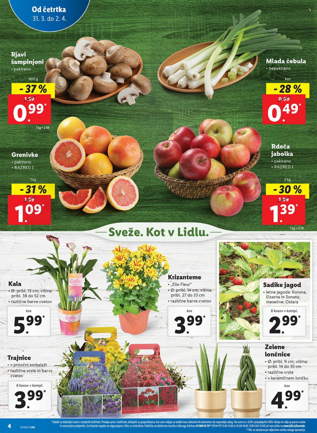 Lidl katalog - 31.3.2022 - 10.4.2022. Stran 4