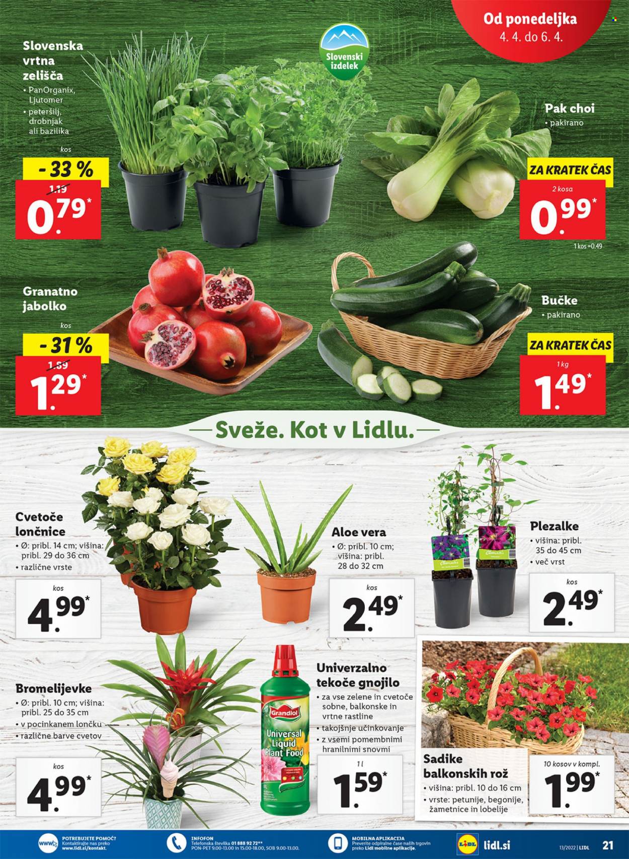 Lidl katalog - 31.3.2022 - 10.4.2022. Stran 25