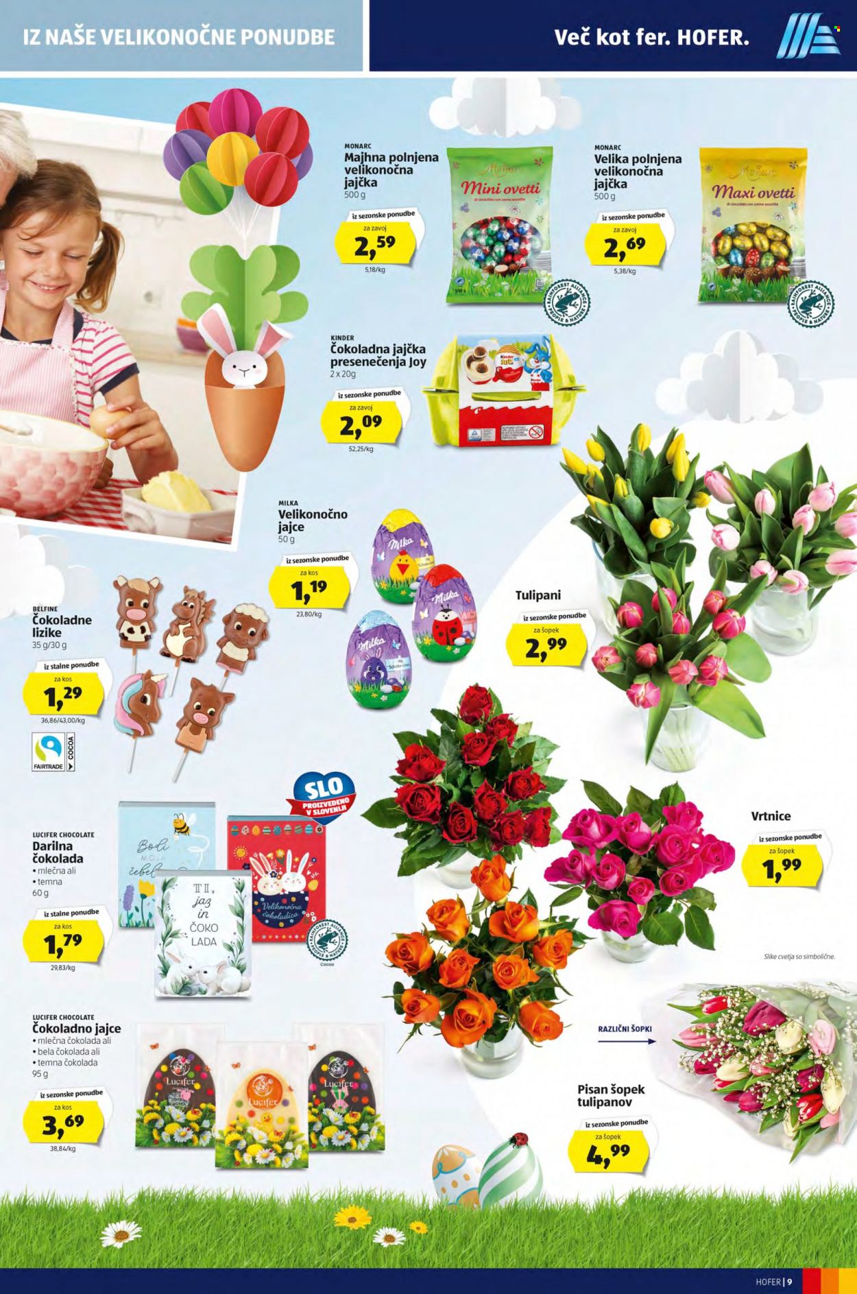 Hofer katalog - 8.4.2022 - 16.4.2022. Stran 9
