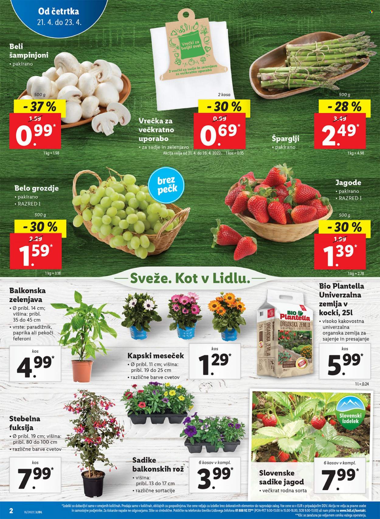 Lidl katalog - 21.4.2022 - 1.5.2022. Stran 2