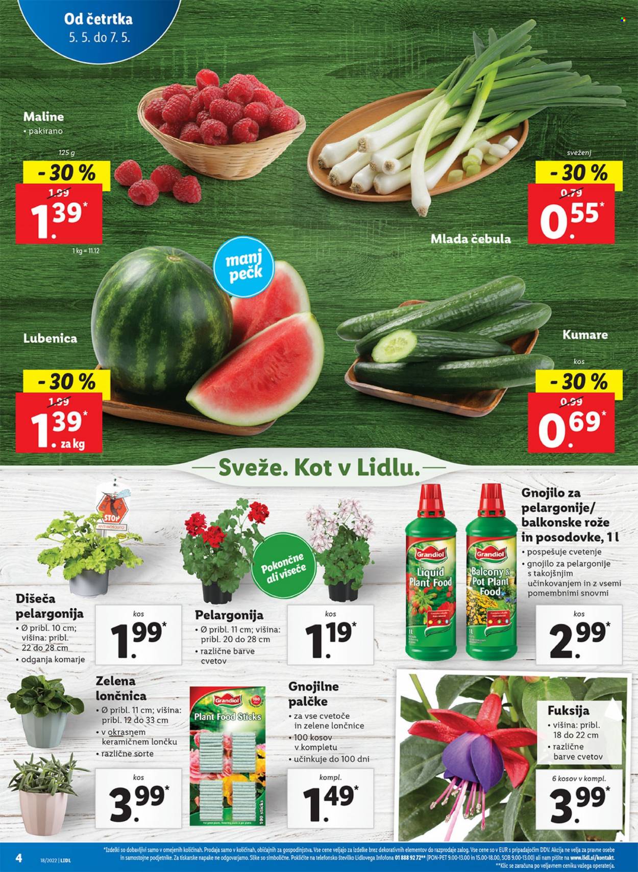 Lidl katalog - 5.5.2022 - 15.5.2022. Stran 4