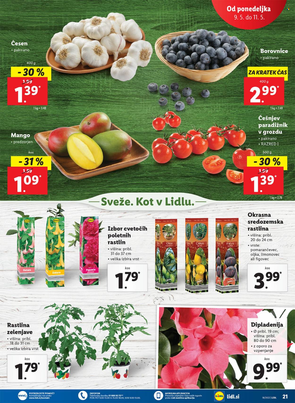 Lidl katalog - 5.5.2022 - 15.5.2022. Stran 23