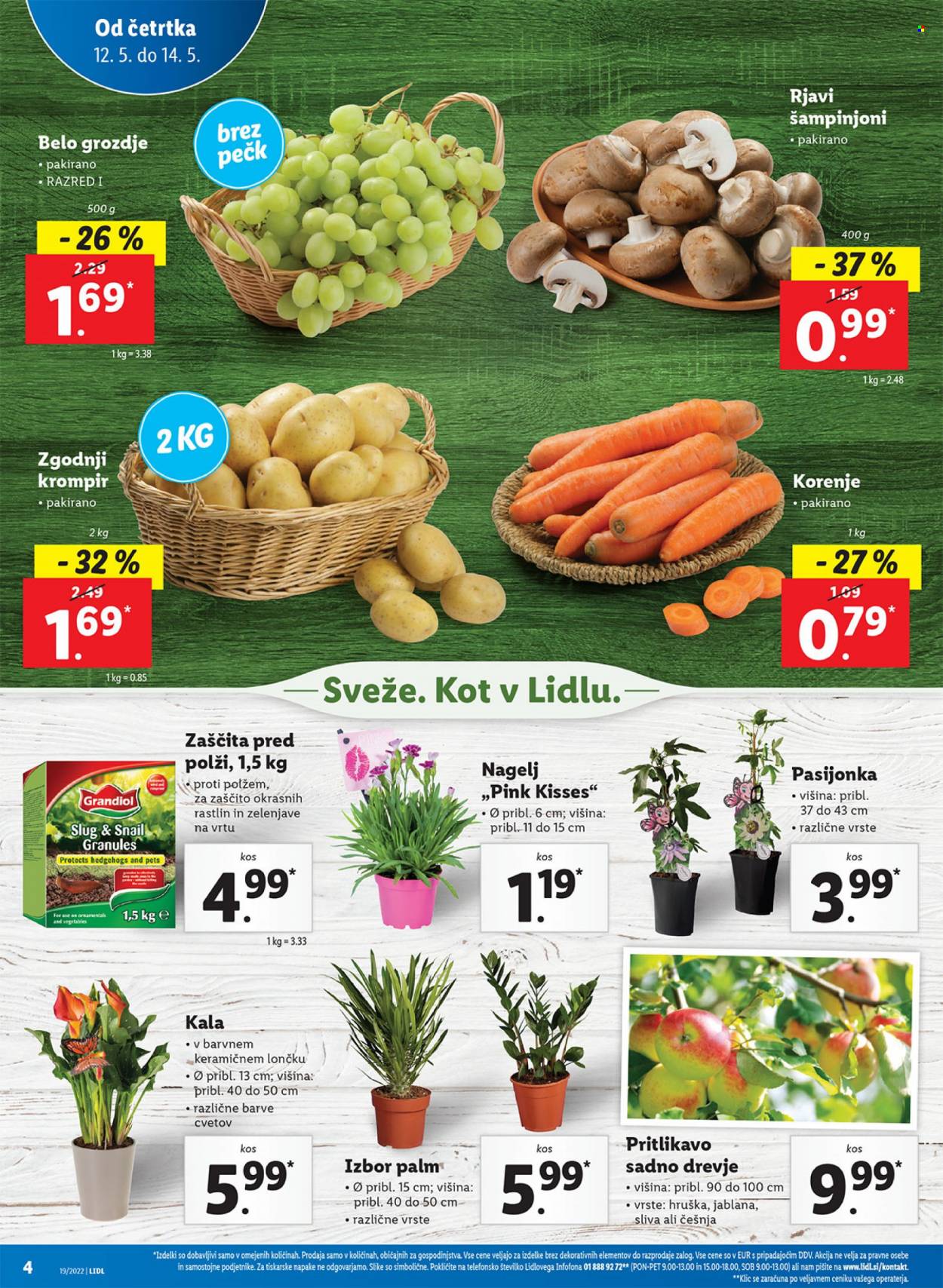 Lidl katalog - 12.5.2022 - 22.5.2022. Stran 4