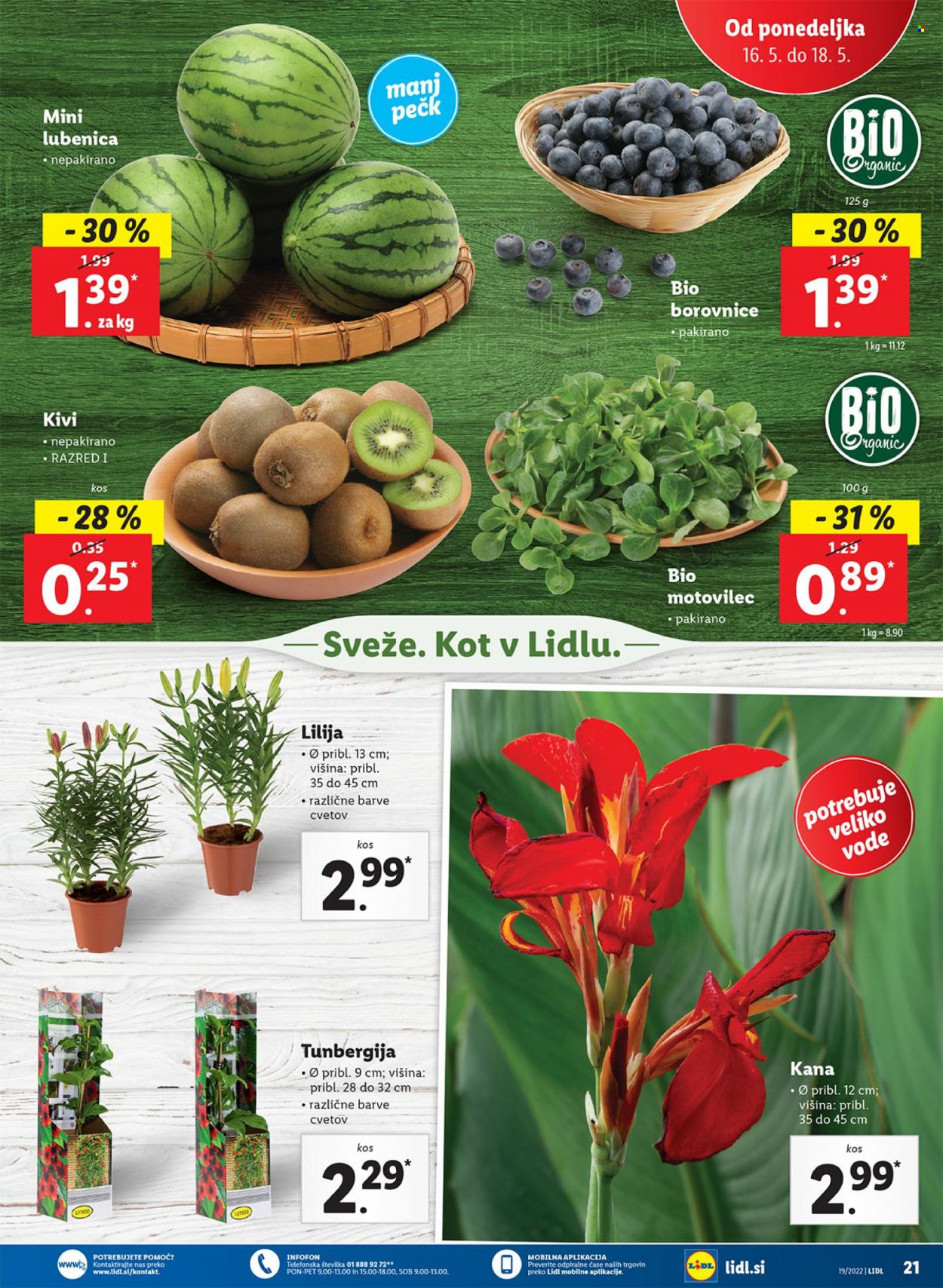 Lidl katalog - 12.5.2022 - 22.5.2022. Stran 23