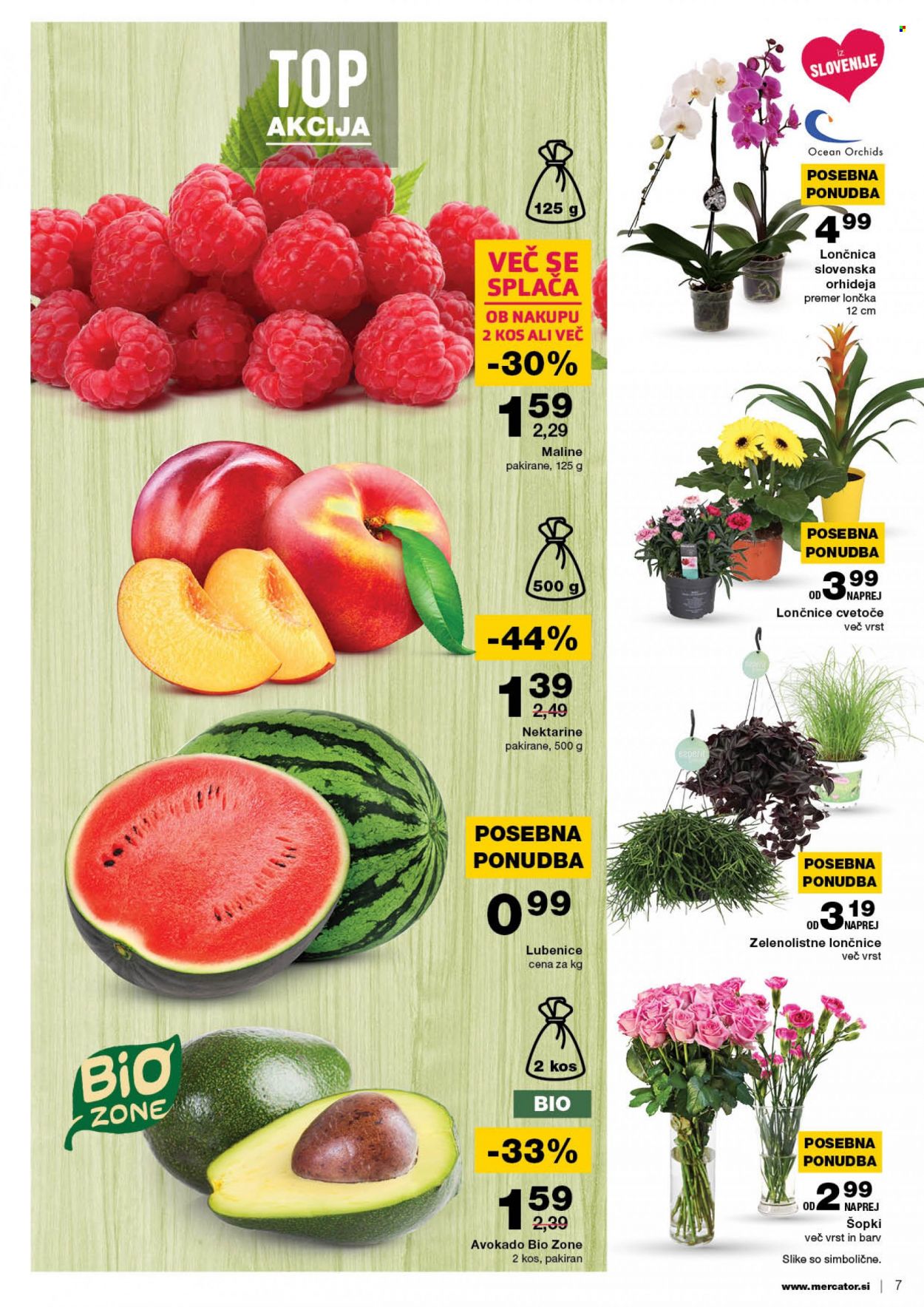 Mercator katalog - 26.5.2022 - 1.6.2022. Stran 7