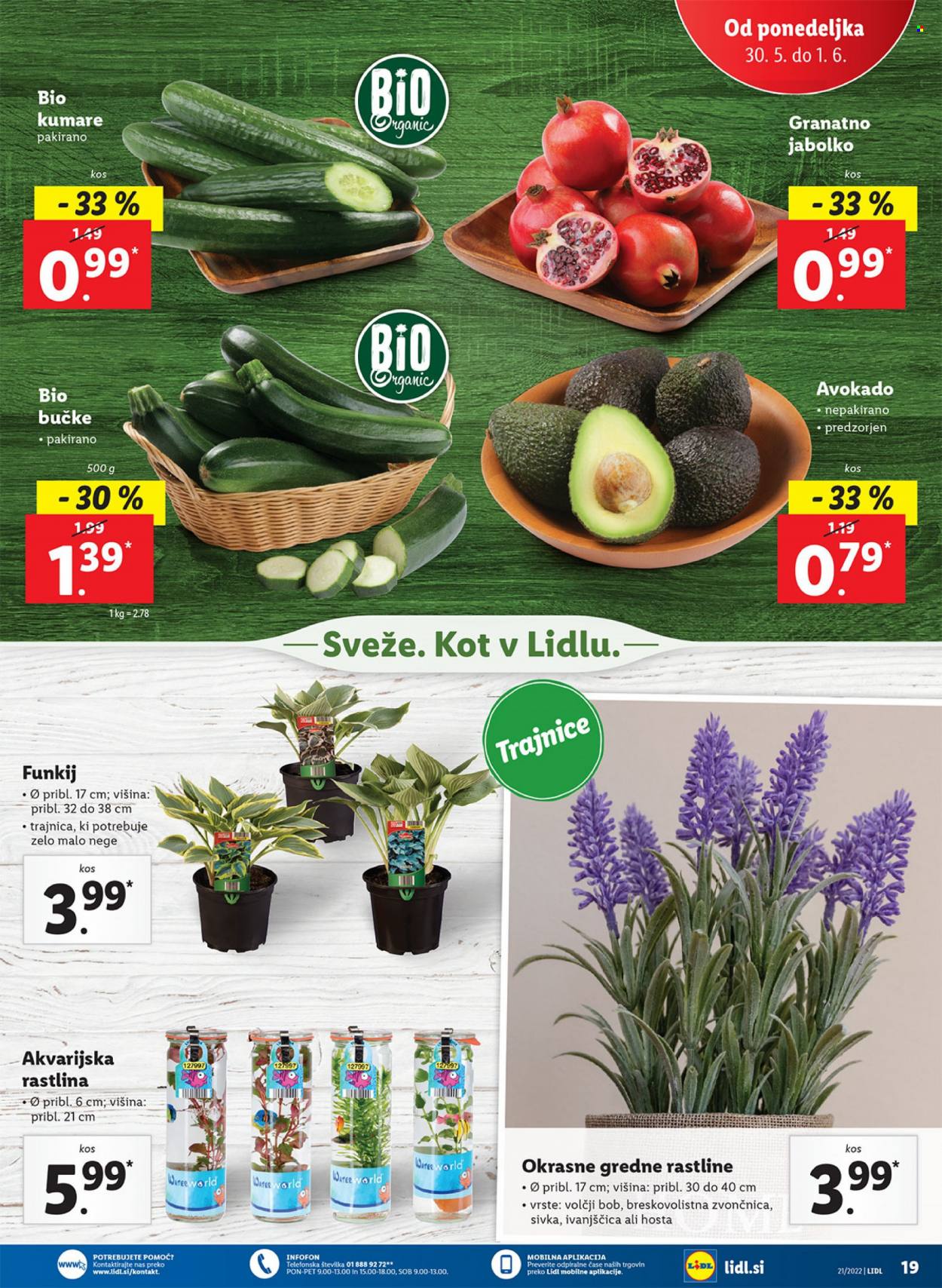 Lidl katalog - 26.5.2022 - 5.6.2022. Stran 23