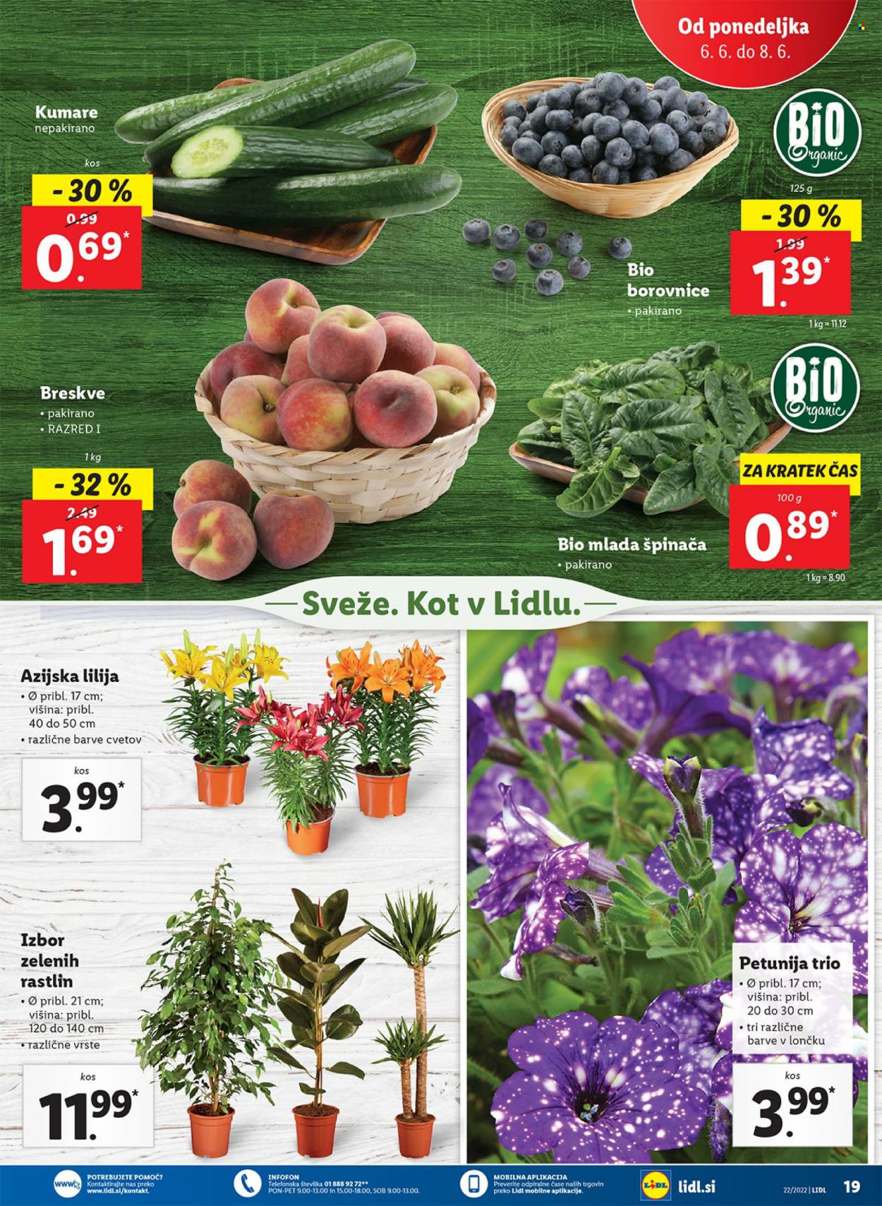 Lidl katalog - 2.6.2022 - 12.6.2022. Stran 21