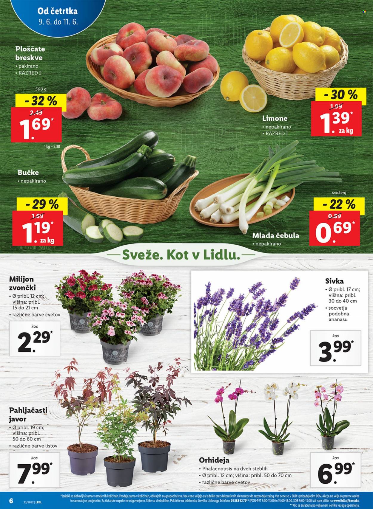 Lidl katalog - 9.6.2022 - 19.6.2022. Stran 6