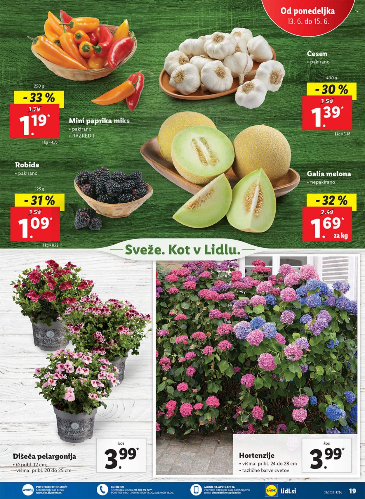 Lidl katalog - 9.6.2022 - 19.6.2022. Stran 23