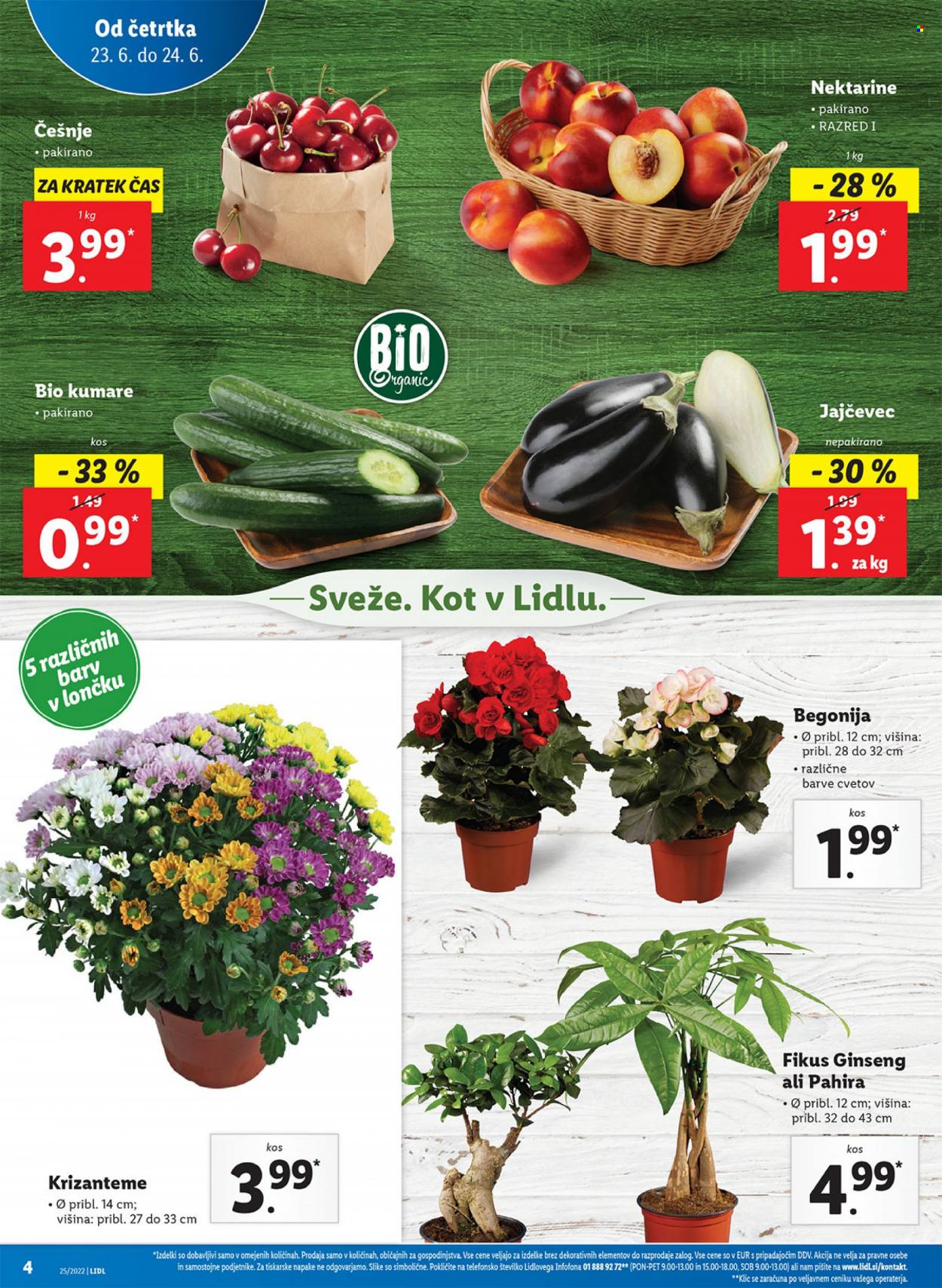 Lidl katalog - 23.6.2022 - 3.7.2022. Stran 4