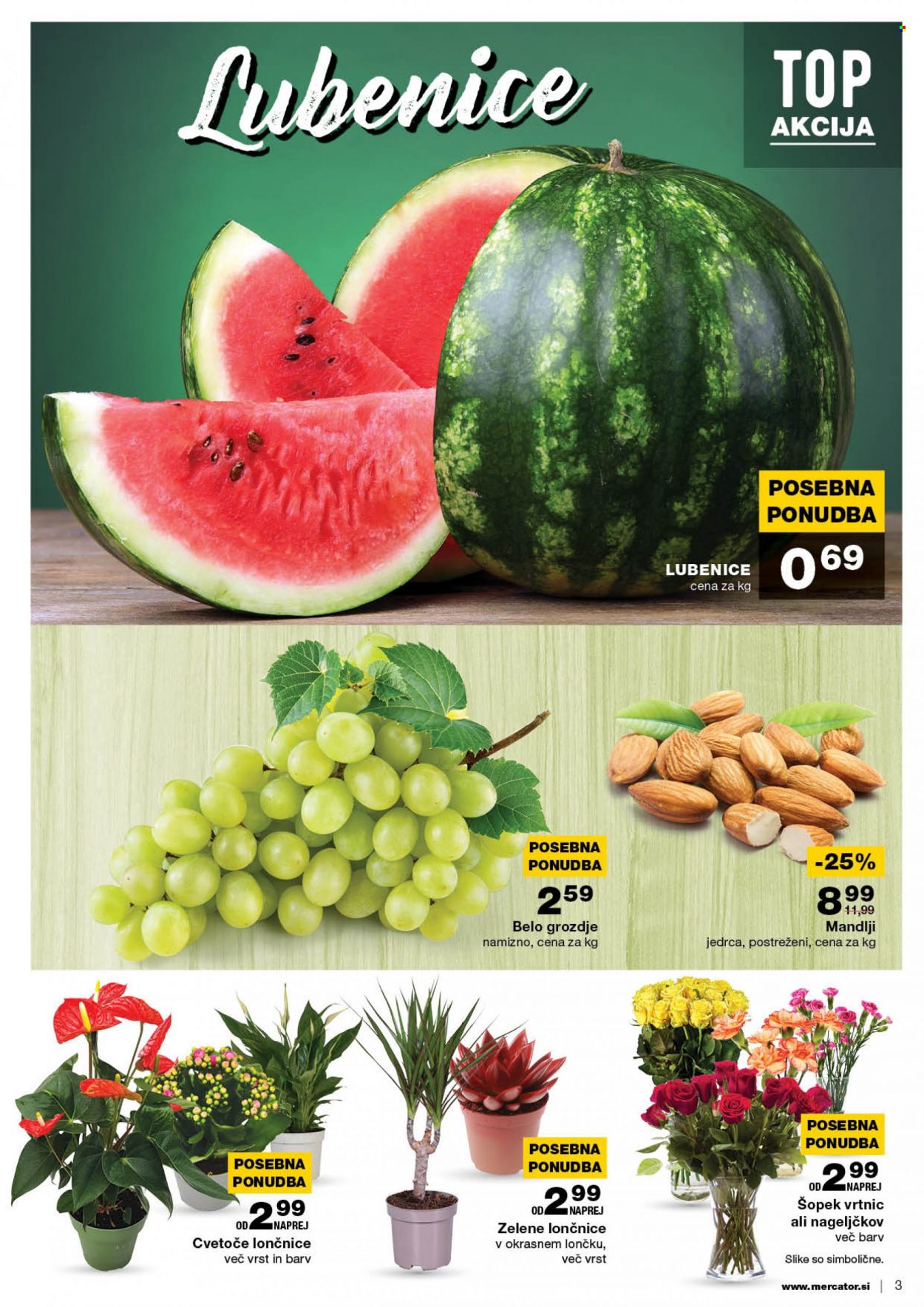 Mercator katalog - 30.6.2022 - 6.7.2022. Stran 3