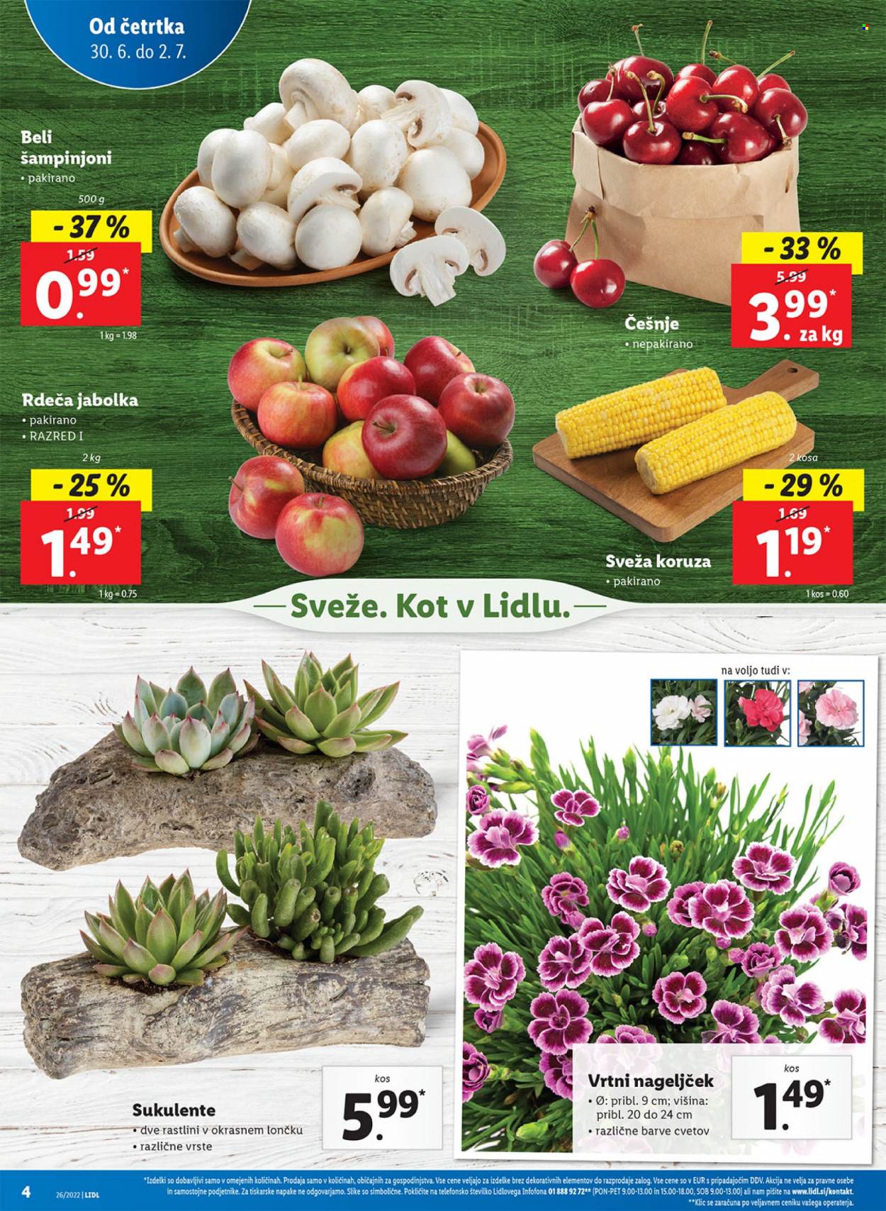 Lidl katalog - 30.6.2022 - 10.7.2022. Stran 4