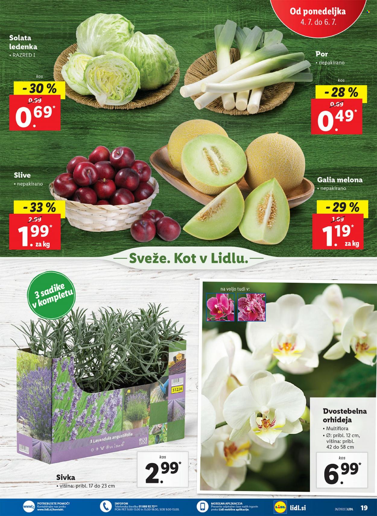thumbnail - Lidl katalog - 30.6.2022 - 10.7.2022 - Ponudba izdelkov - slive, melone, solata, orhideja. Stran 23.