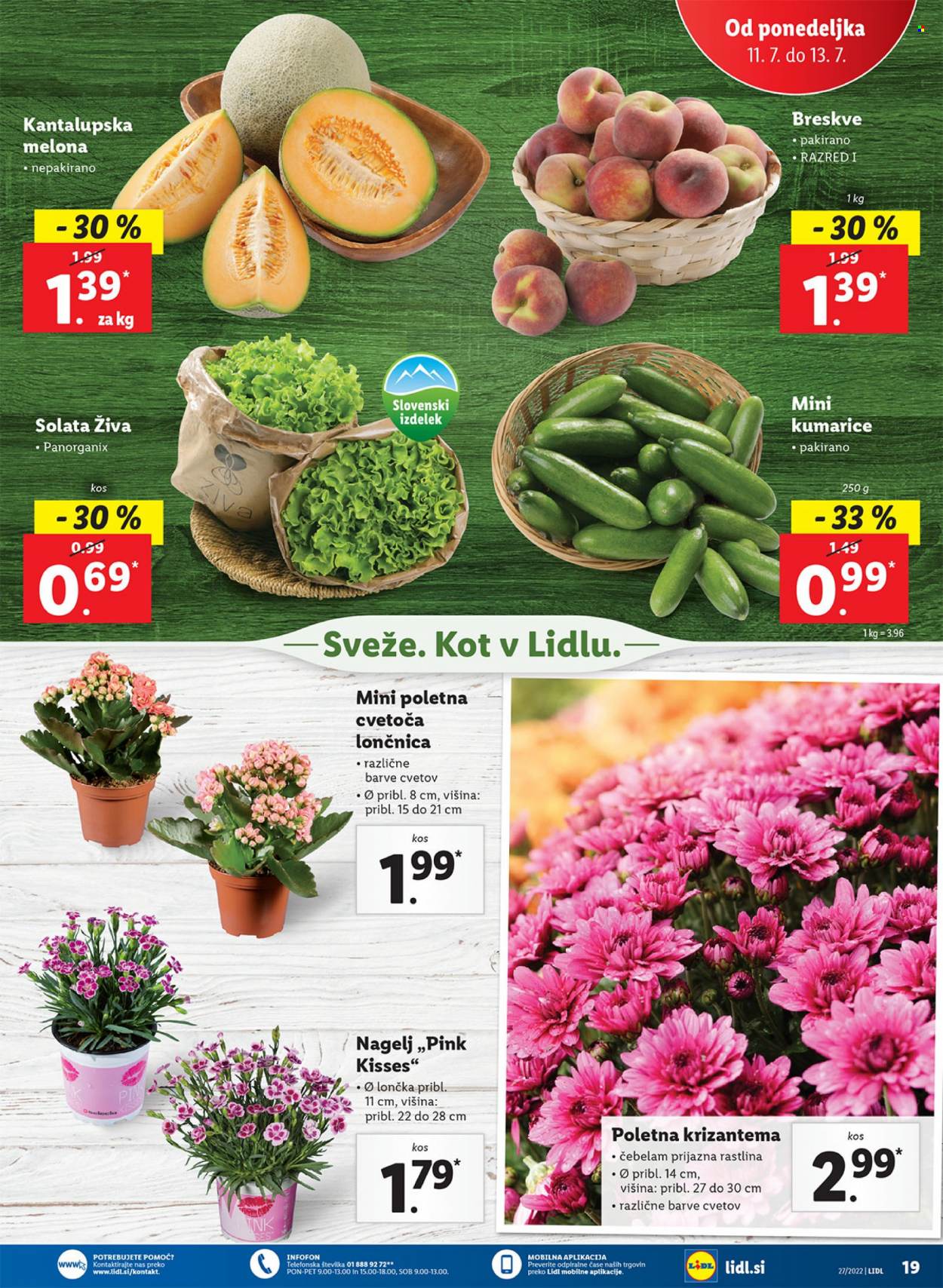 Lidl katalog - 7.7.2022 - 17.7.2022. Stran 25