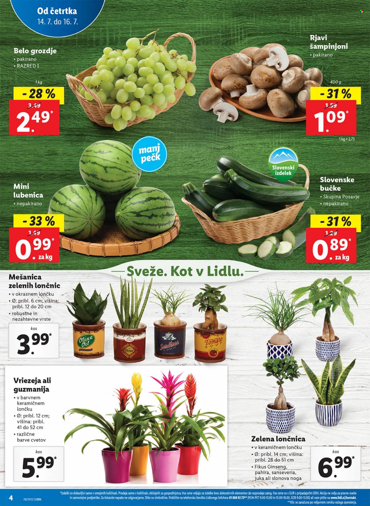 Lidl katalog - 14.7.2022 - 24.7.2022. Stran 4