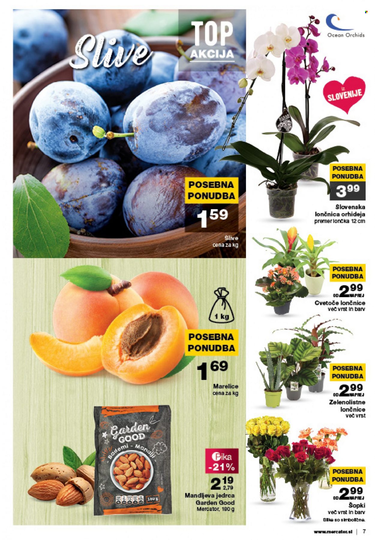 Mercator katalog - 21.7.2022 - 27.7.2022. Stran 7