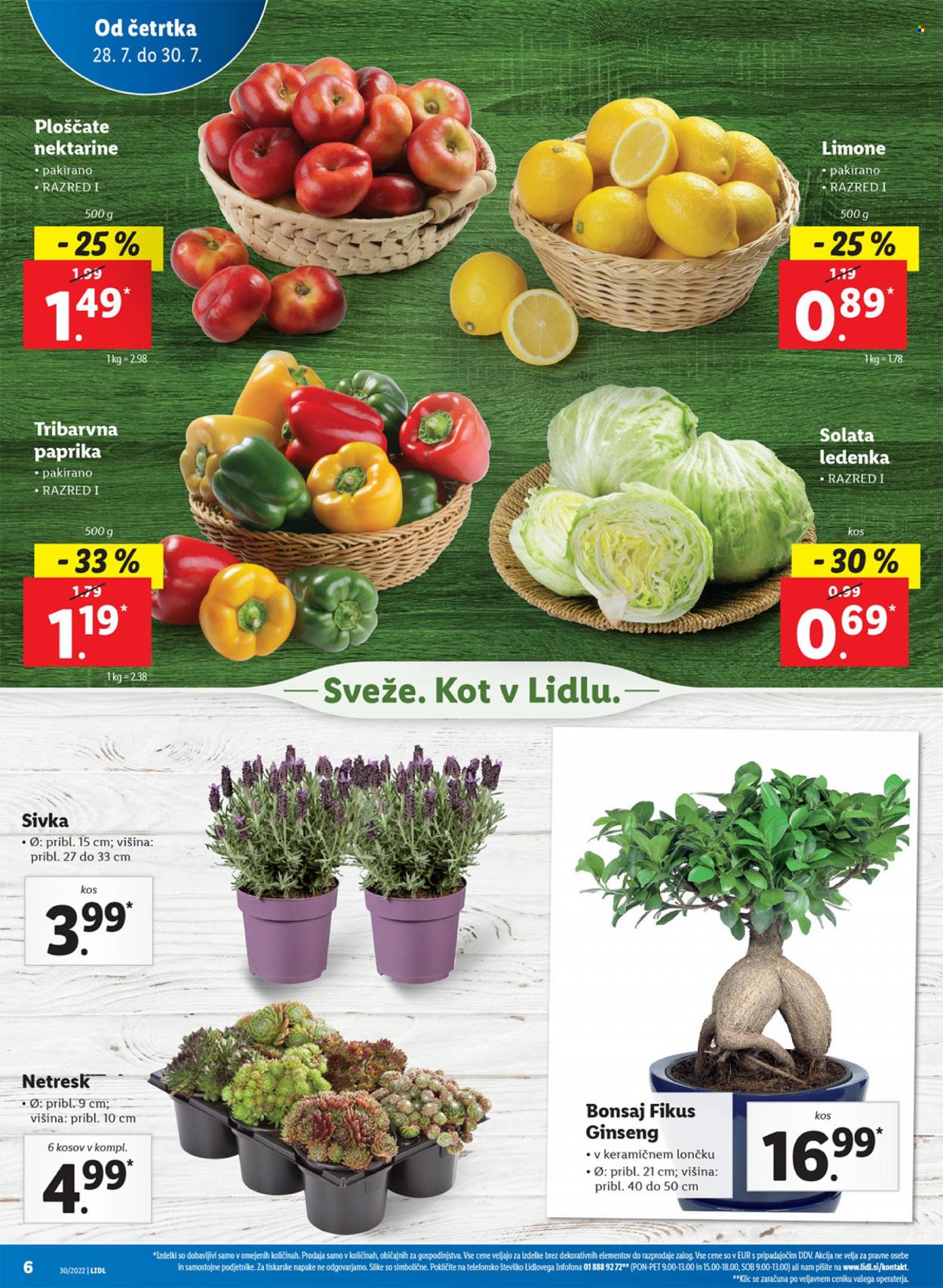 Lidl katalog - 28.7.2022 - 7.8.2022. Stran 8