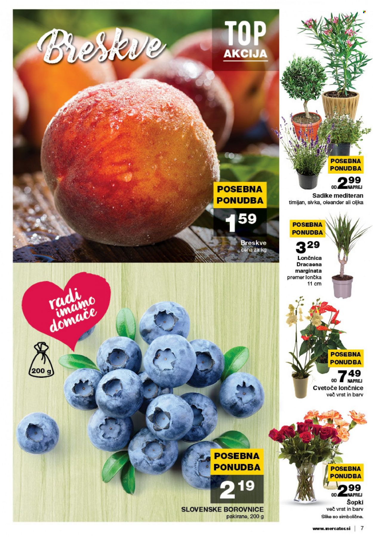 Mercator katalog - 4.8.2022 - 10.8.2022. Stran 7