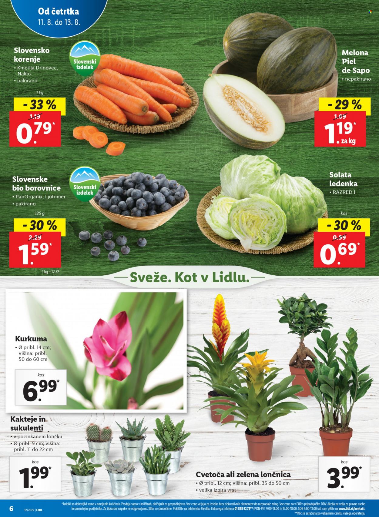 Lidl katalog - 11.8.2022 - 21.8.2022. Stran 8
