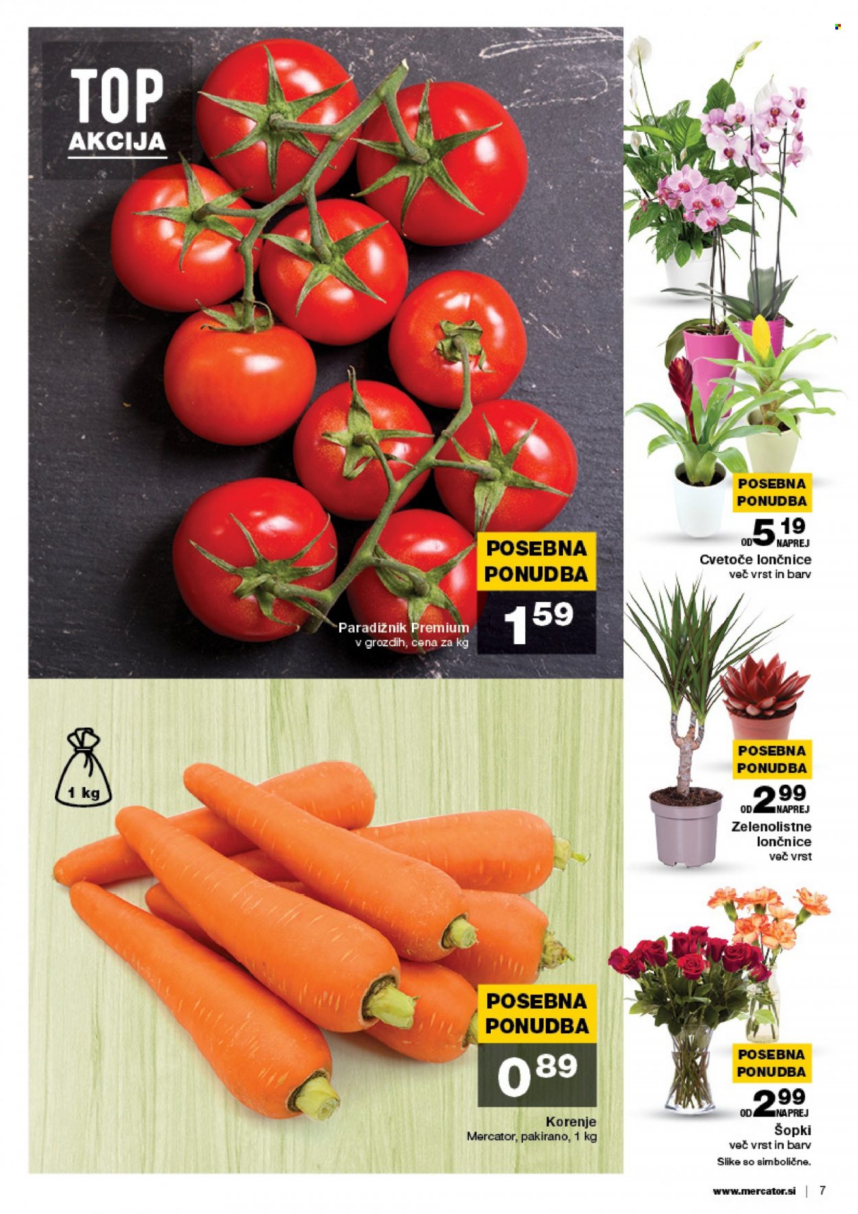 Mercator katalog - 11.8.2022 - 17.8.2022. Stran 7