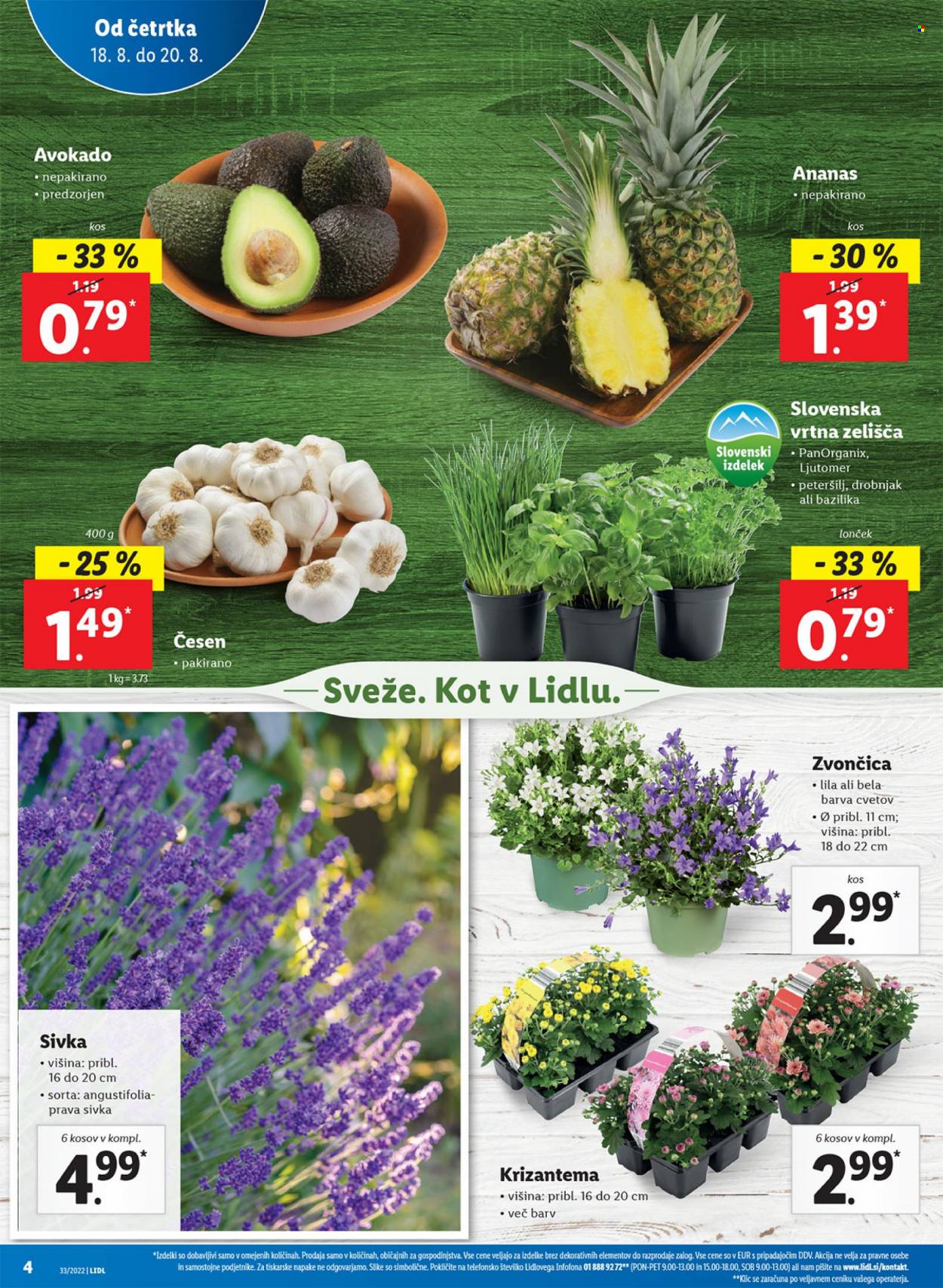 Lidl katalog - 18.8.2022 - 28.8.2022. Stran 4