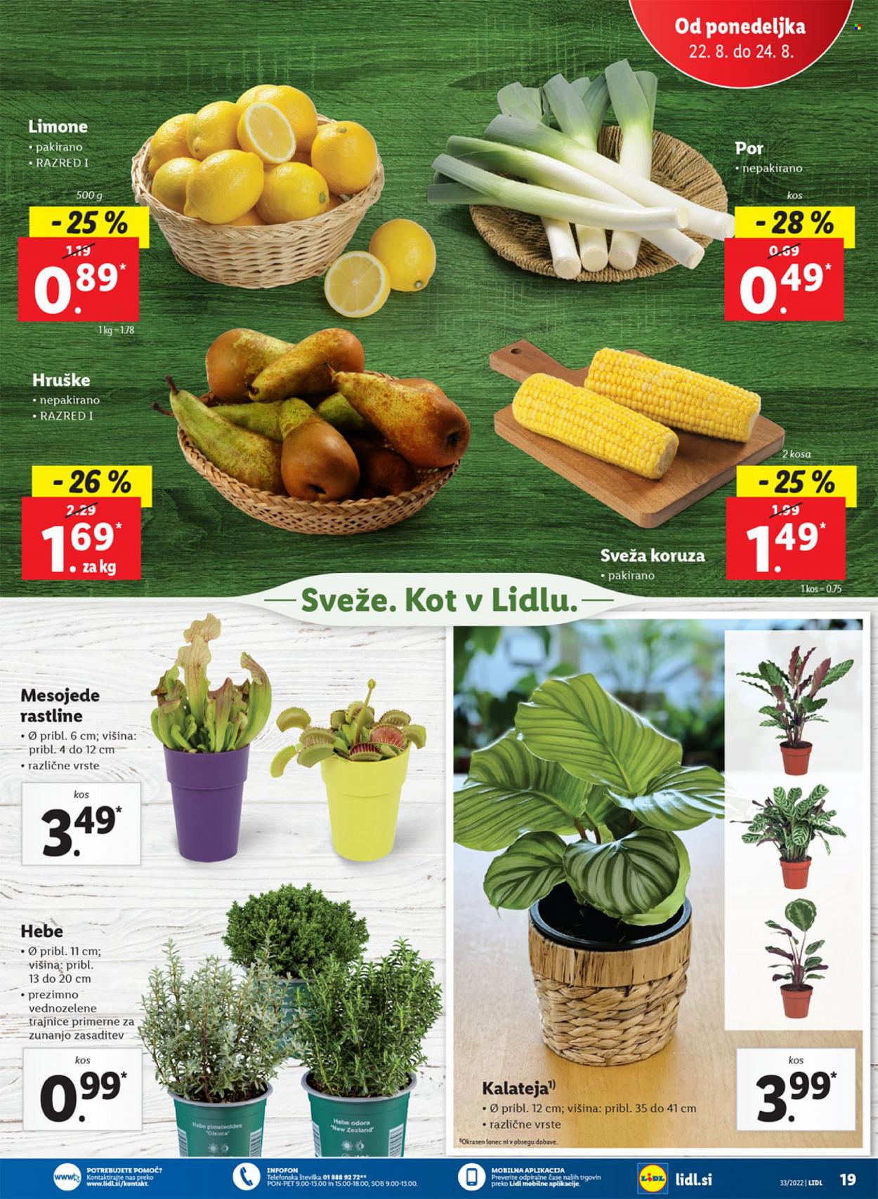 Lidl katalog - 18.8.2022 - 28.8.2022. Stran 27