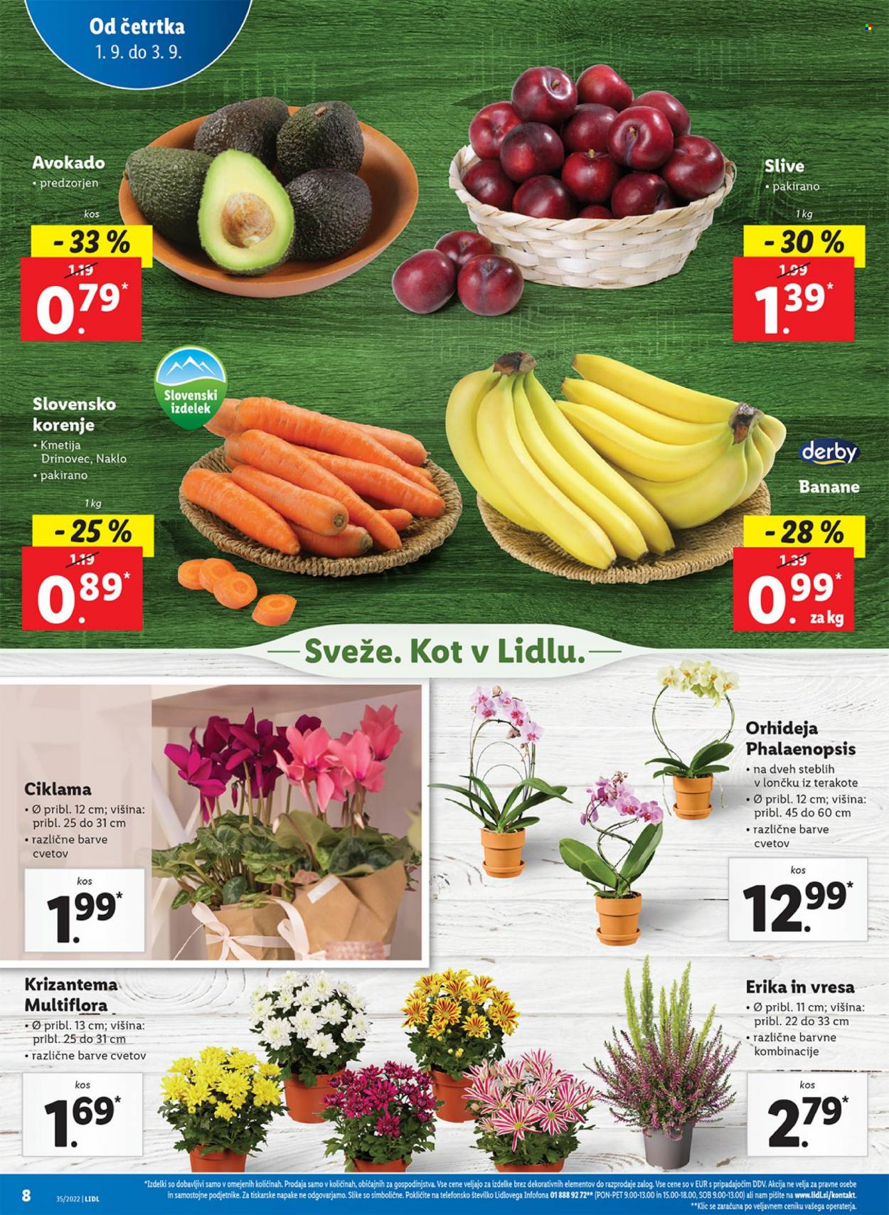 Lidl katalog - 1.9.2022 - 11.9.2022. Stran 16