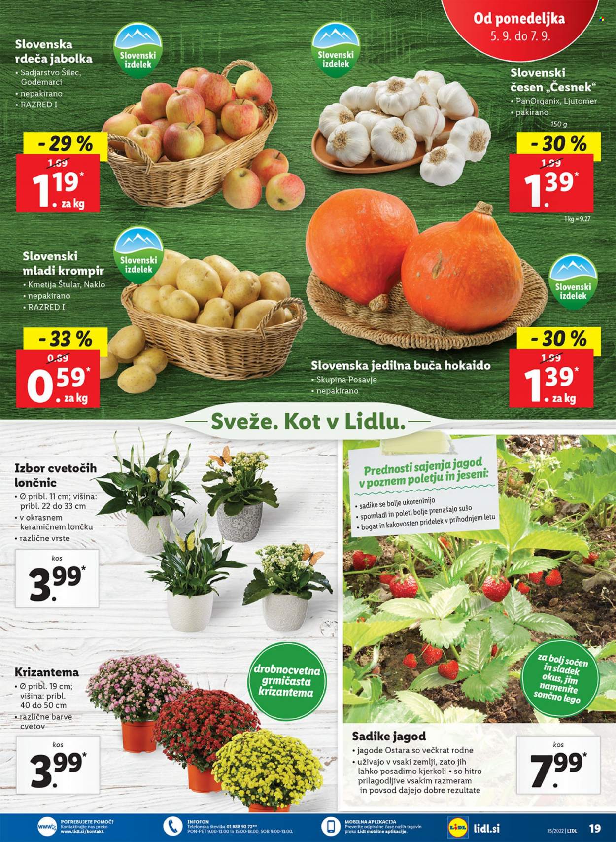 Lidl katalog - 1.9.2022 - 11.9.2022. Stran 27