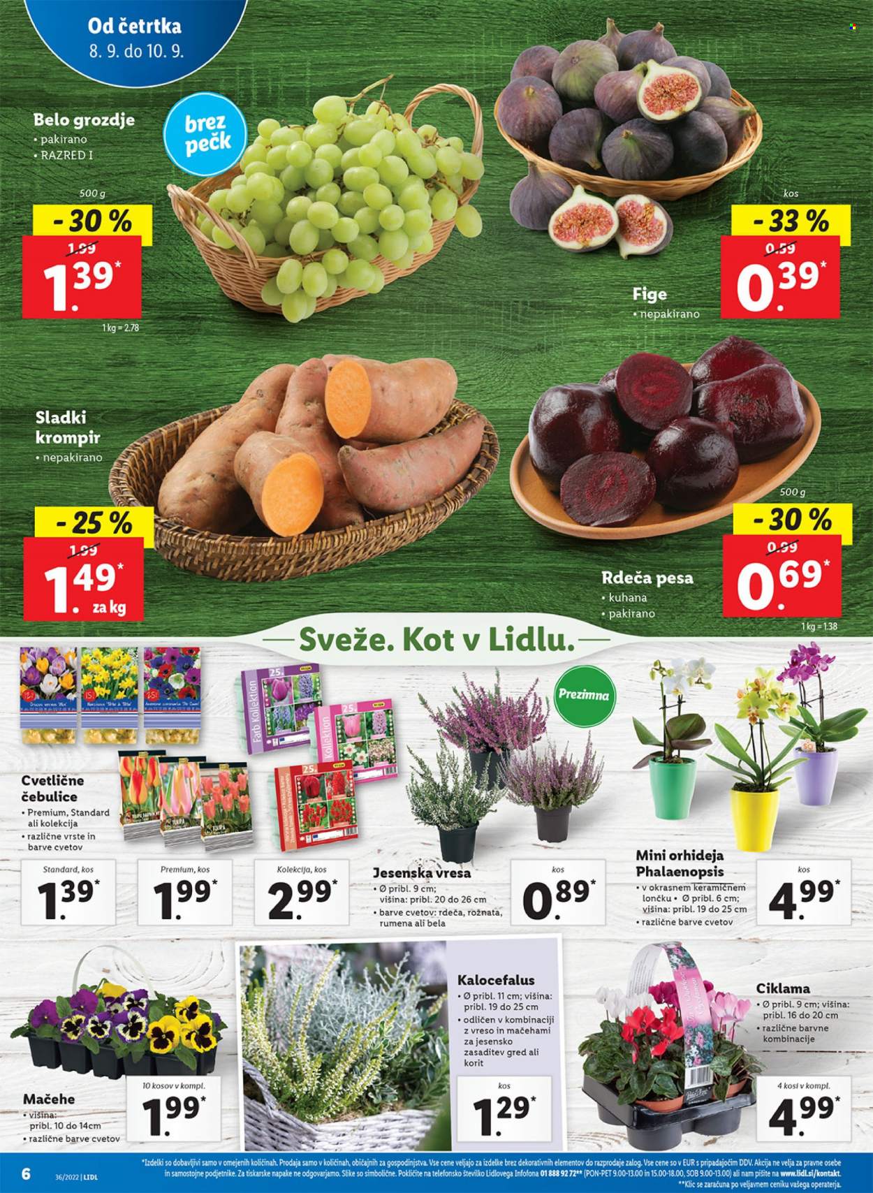 Lidl katalog - 8.9.2022 - 18.9.2022. Stran 10