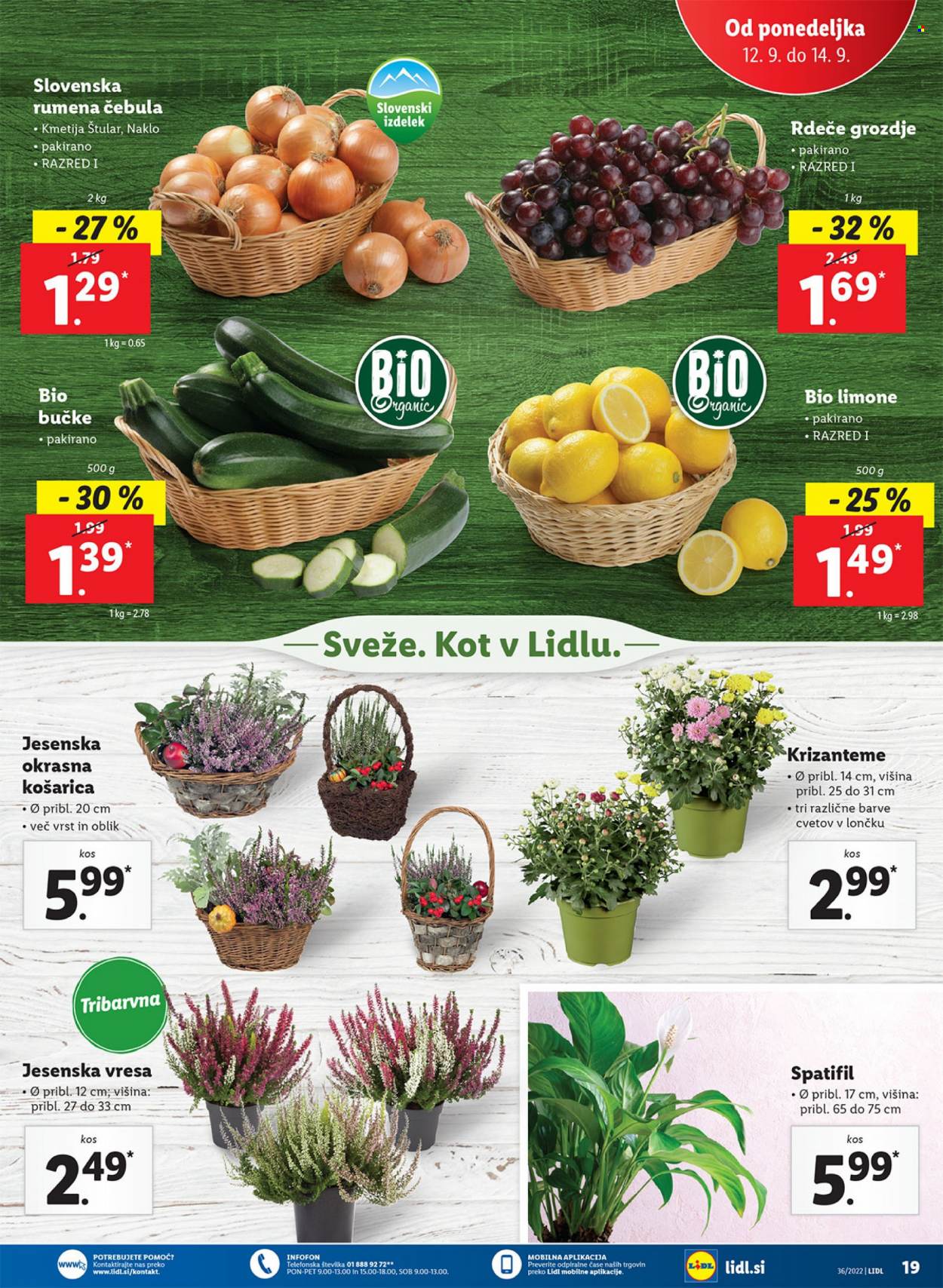 Lidl katalog - 8.9.2022 - 18.9.2022. Stran 29