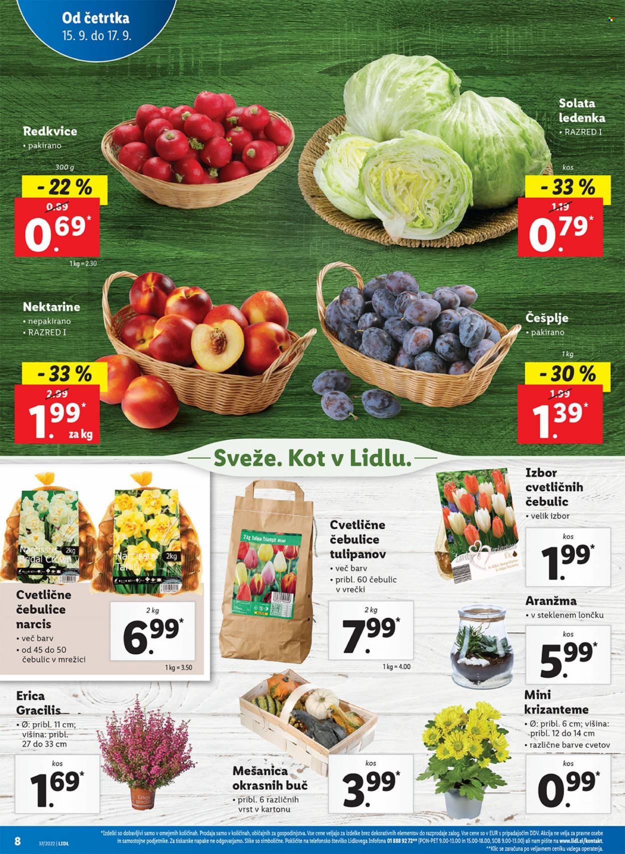 Lidl katalog - 15.9.2022 - 25.9.2022. Stran 14