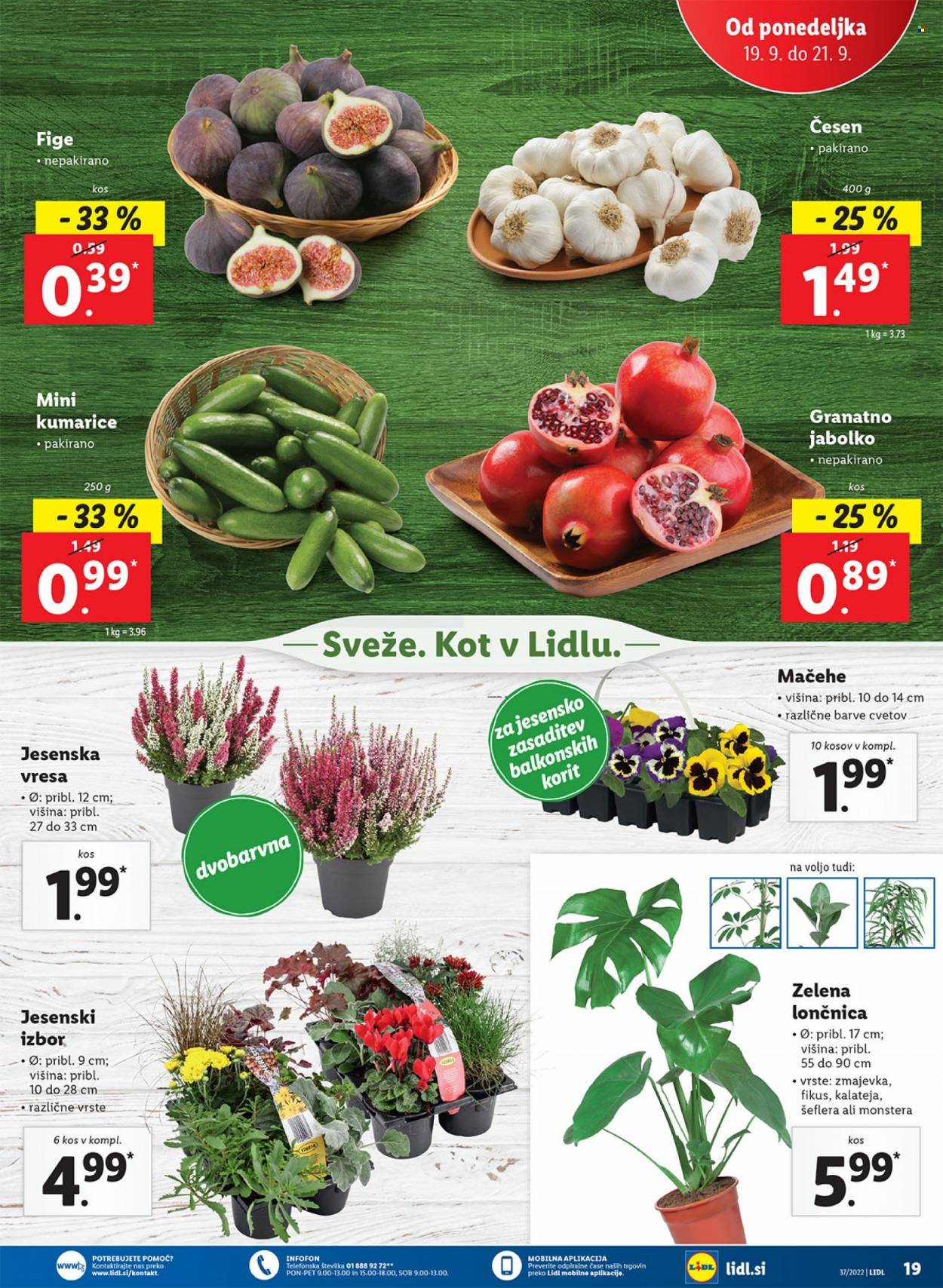 Lidl katalog - 15.9.2022 - 25.9.2022. Stran 27