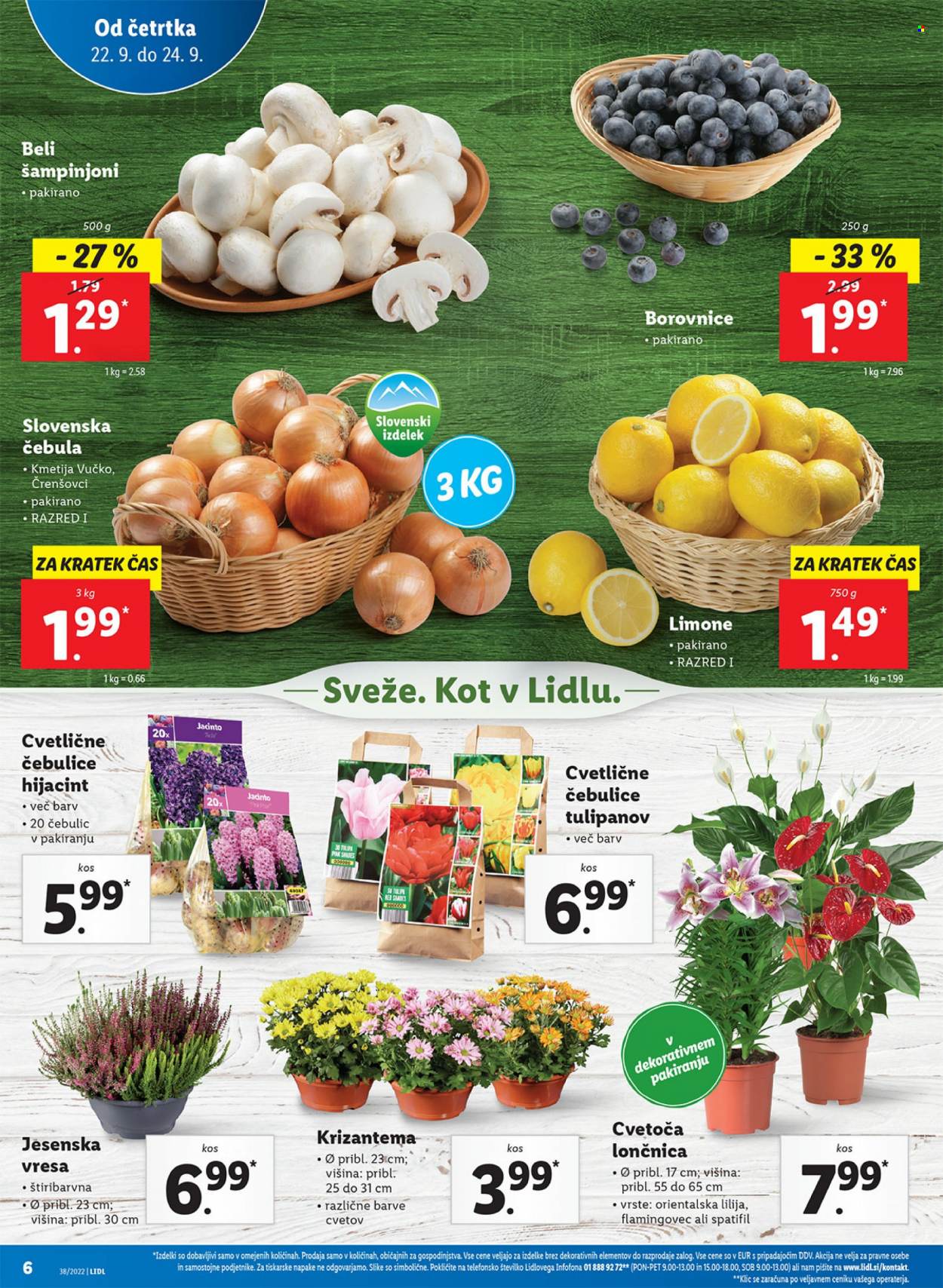 Lidl katalog - 22.9.2022 - 2.10.2022. Stran 10