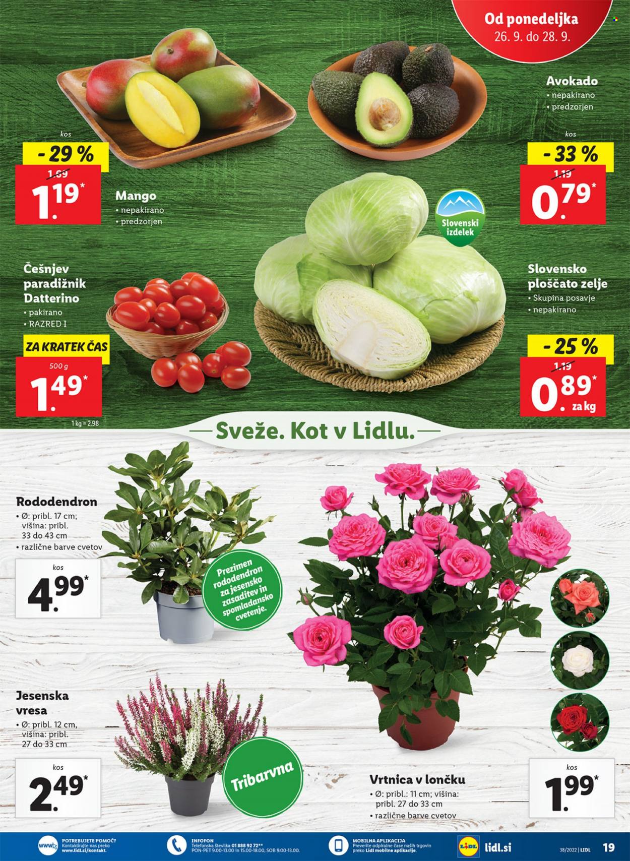 Lidl katalog - 22.9.2022 - 2.10.2022. Stran 25
