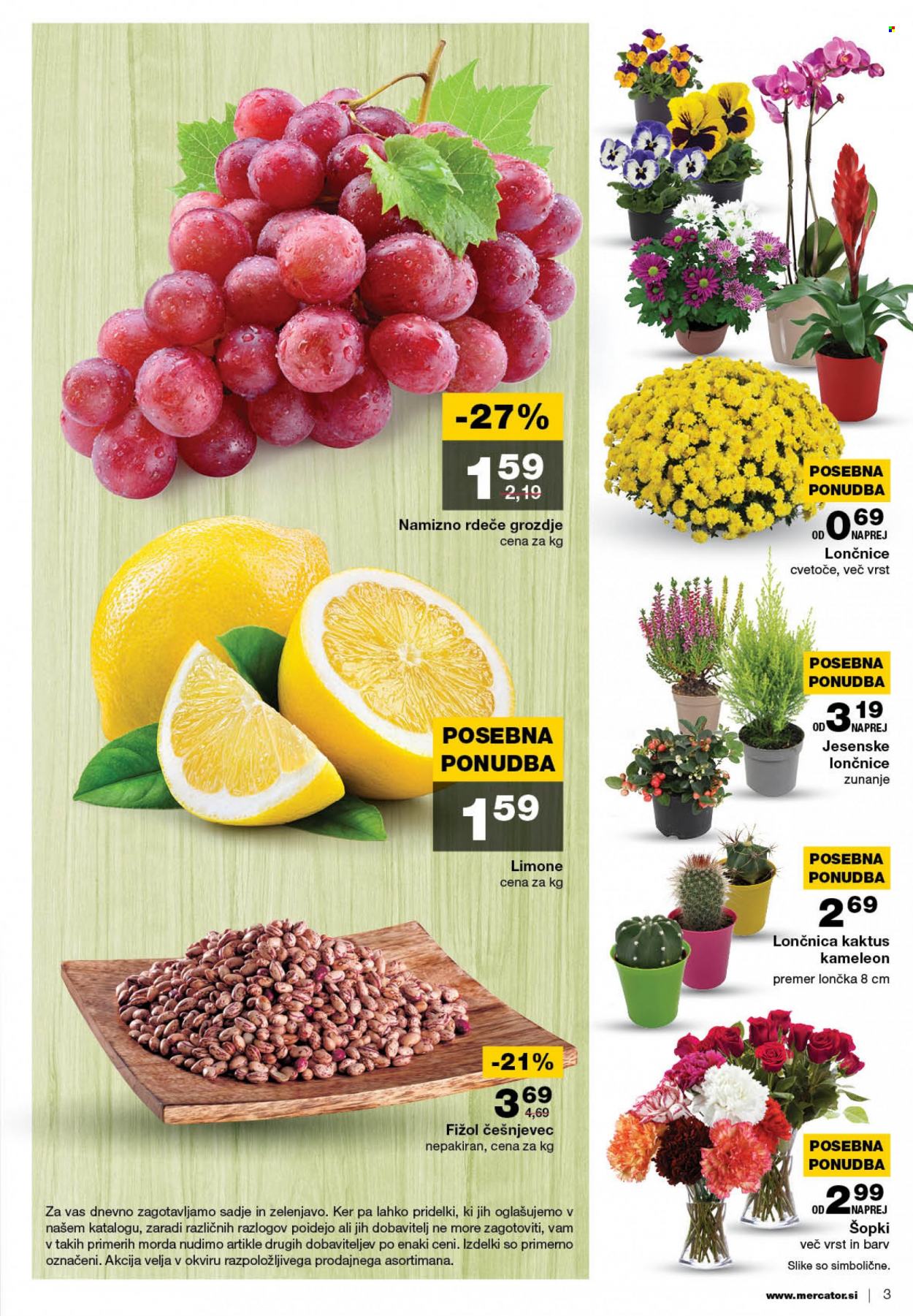 Mercator katalog - 22.9.2022 - 28.9.2022. Stran 3